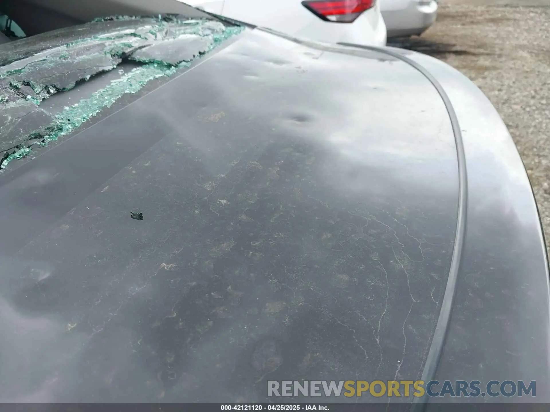 17 Photograph of a damaged car 4T1G11AK3PU761816 TOYOTA CAMRY 2023