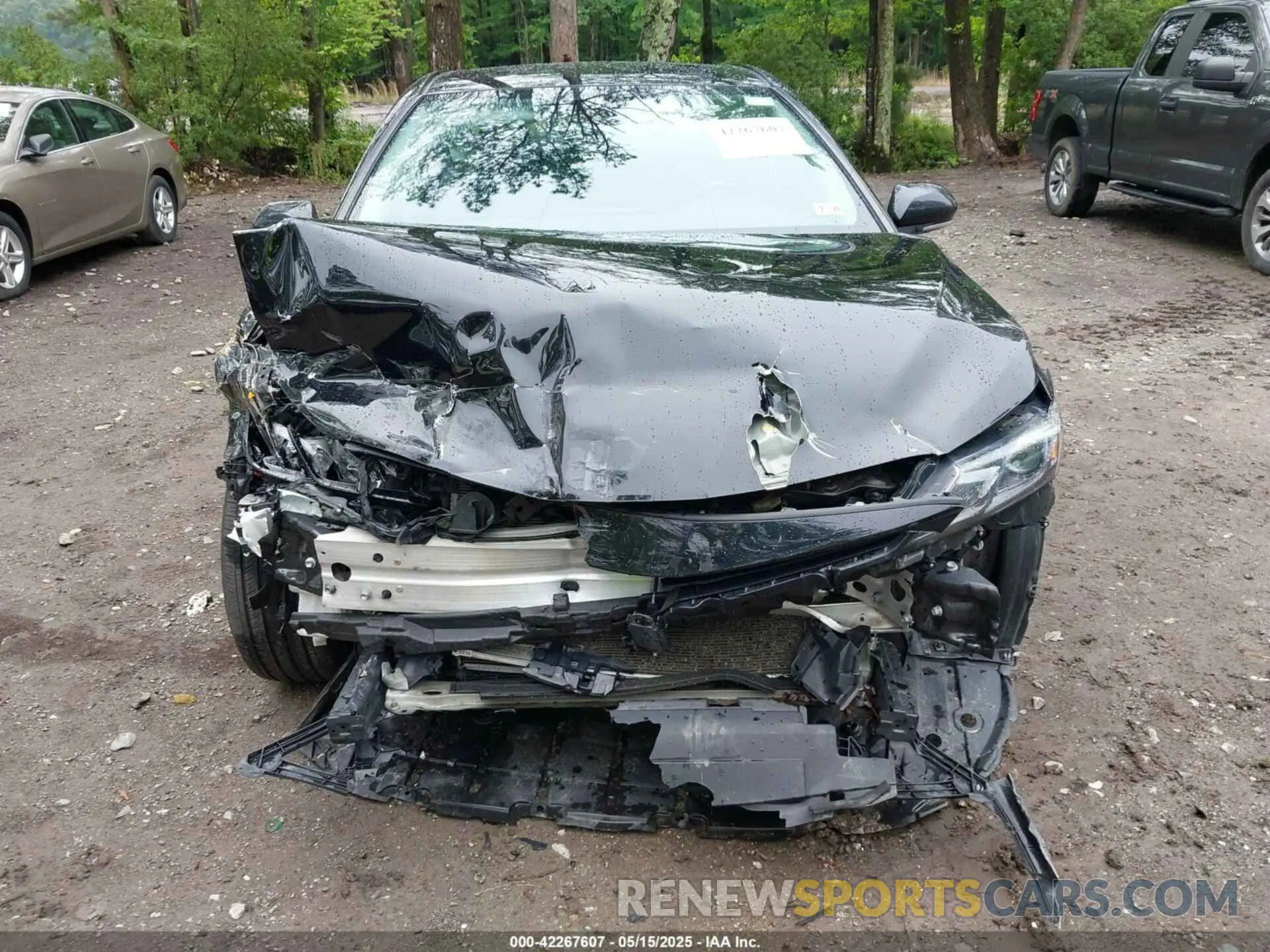 13 Photograph of a damaged car 4T1G11AK5PU169818 TOYOTA CAMRY 2023
