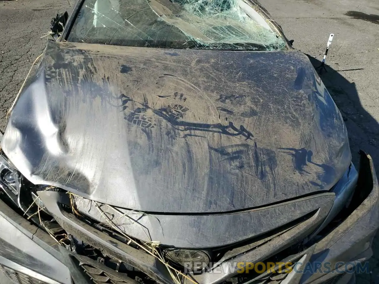 11 Photograph of a damaged car 4T1G11AK9PU120427 TOYOTA CAMRY 2023