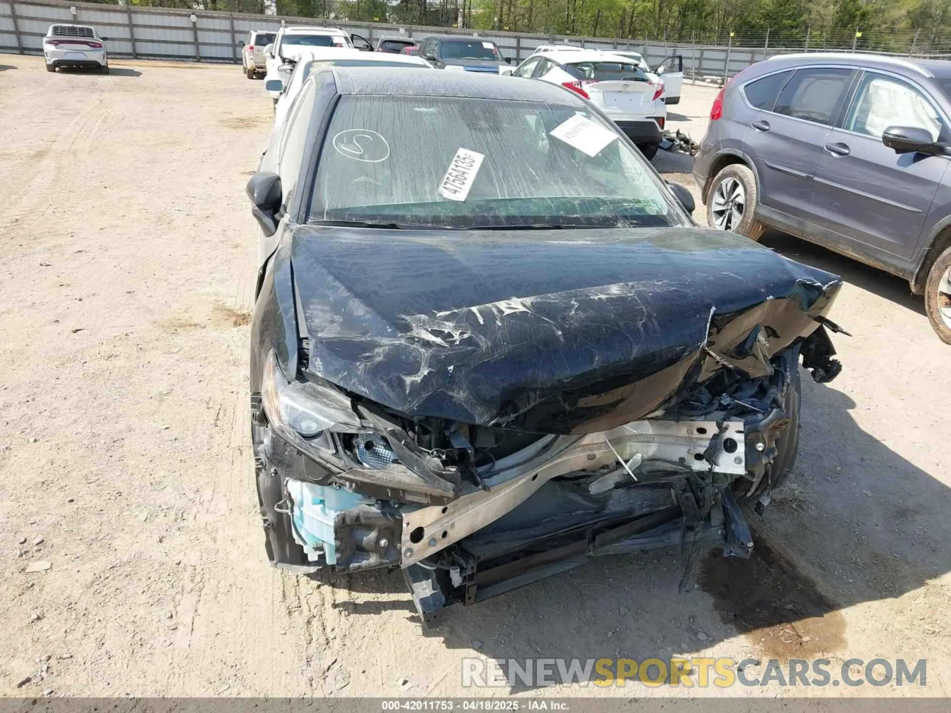 12 Photograph of a damaged car 4T1G31AK3PU607259 TOYOTA CAMRY 2023
