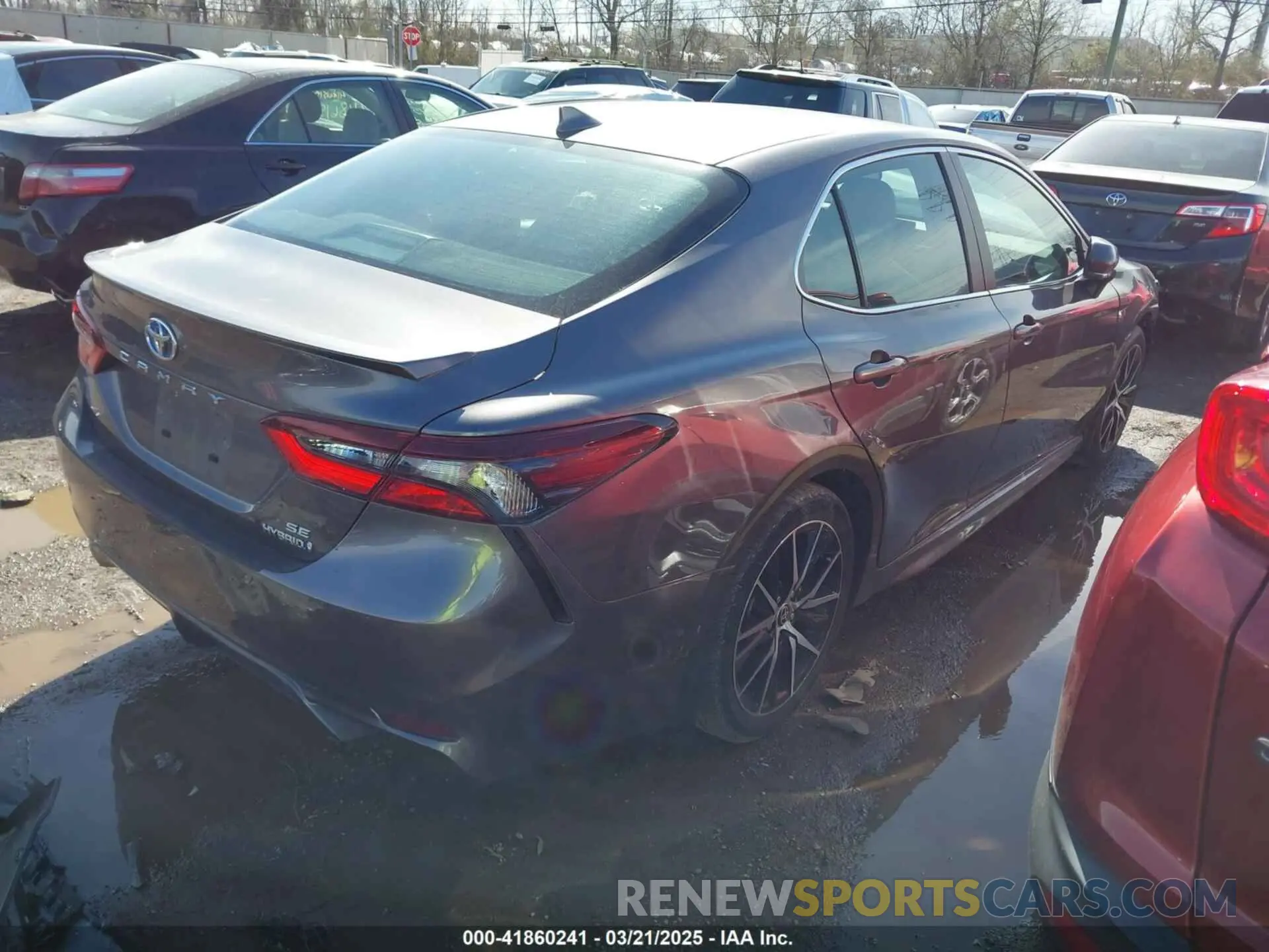 4 Photograph of a damaged car 4T1G31AK7PU604705 TOYOTA CAMRY 2023