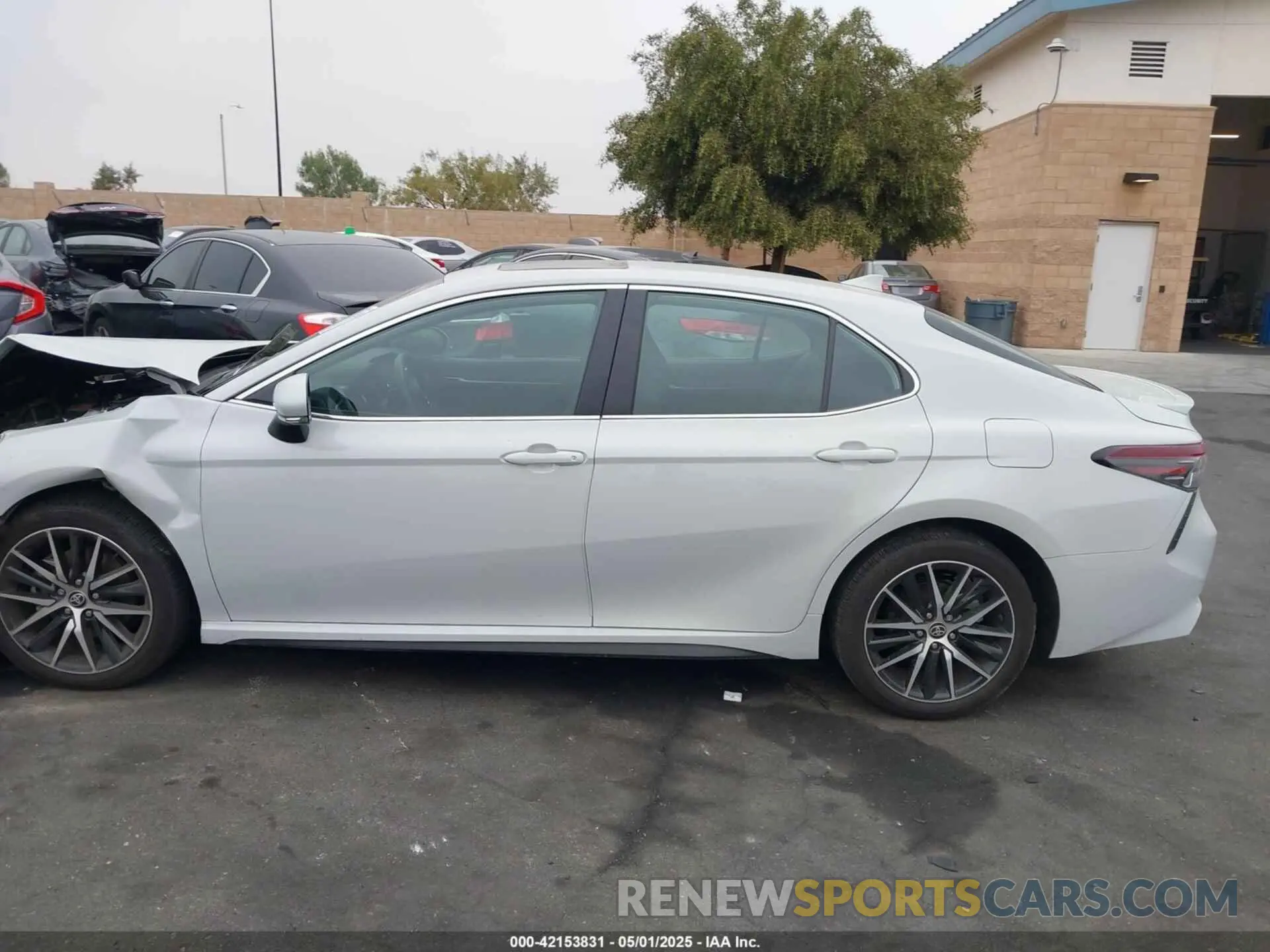 14 Photograph of a damaged car 4T1T11AK6PU091175 TOYOTA CAMRY 2023