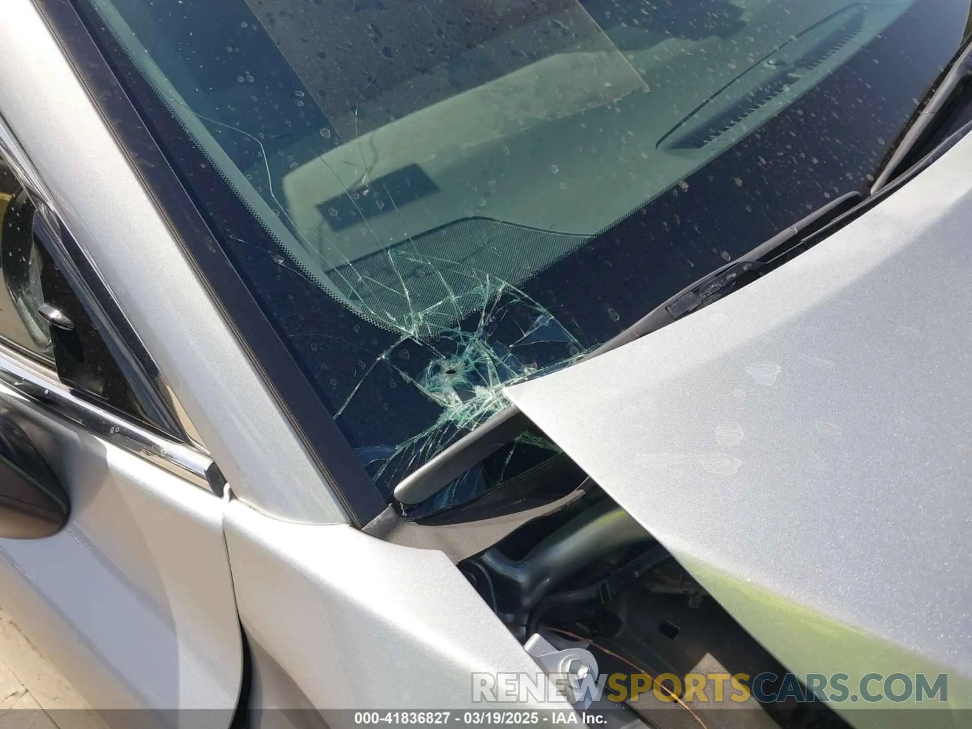 19 Photograph of a damaged car 4T1F11AK7RU242380 TOYOTA CAMRY 2024