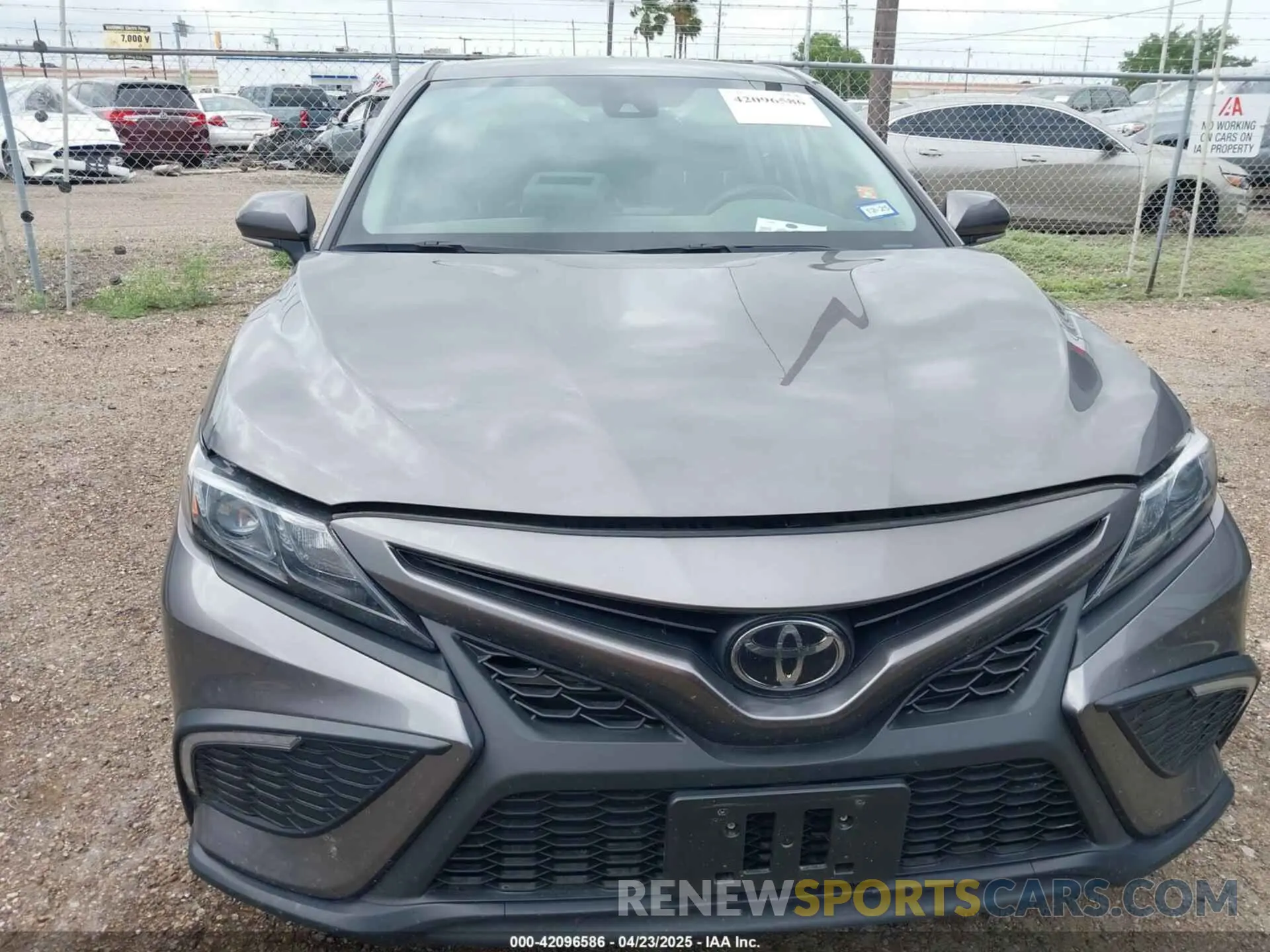 6 Photograph of a damaged car 4T1G11AK5RU882740 TOYOTA CAMRY 2024