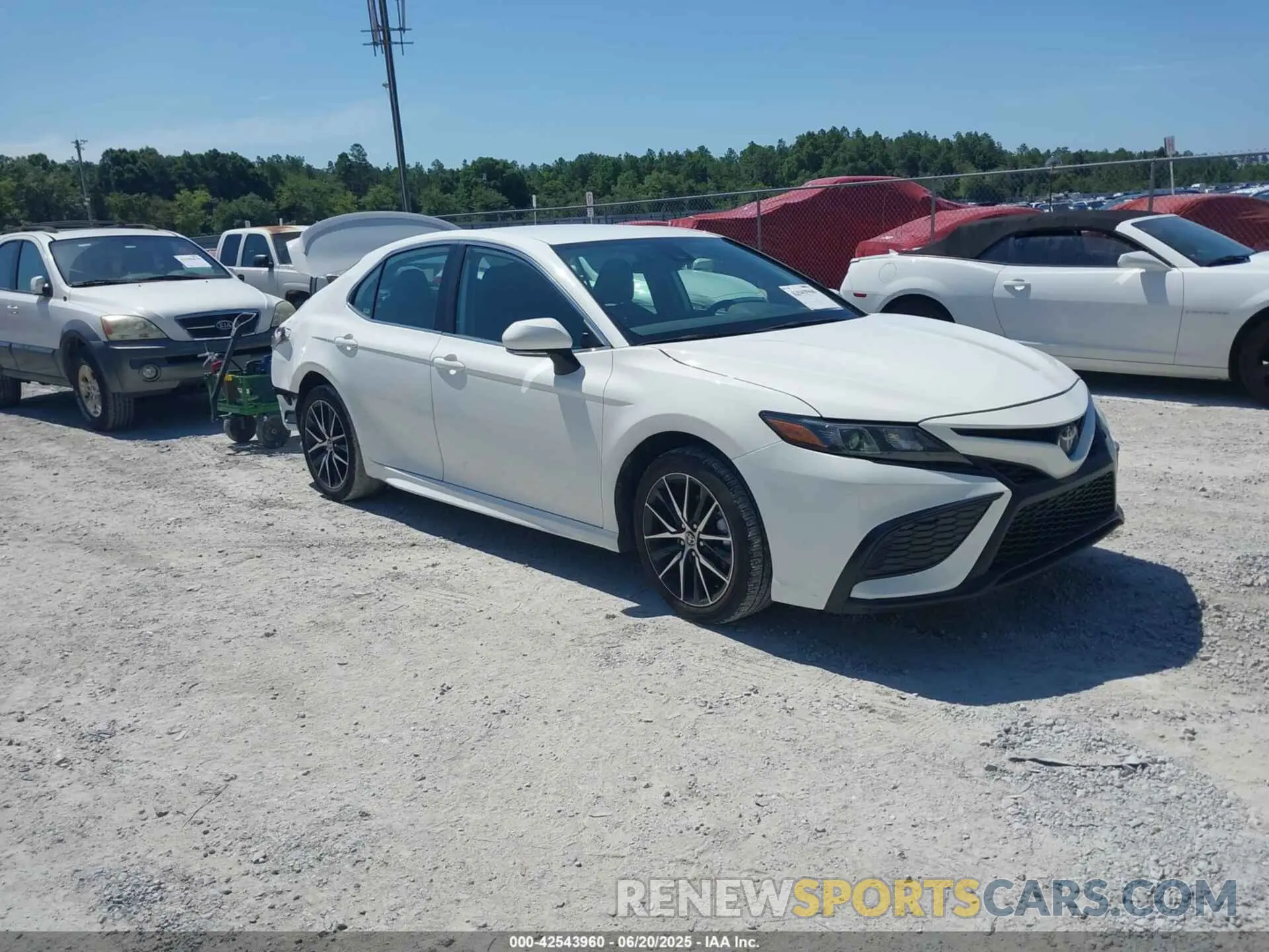 1 Фотография поврежденного автомобиля 4T1G11AK6RU249213 TOYOTA CAMRY 2024