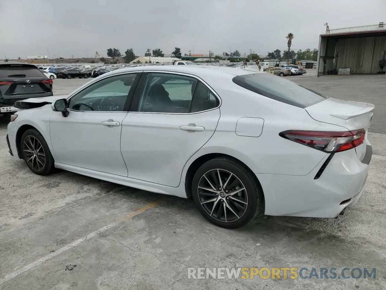 2 Photograph of a damaged car 4T1S31AK3RU060152 TOYOTA CAMRY 2024