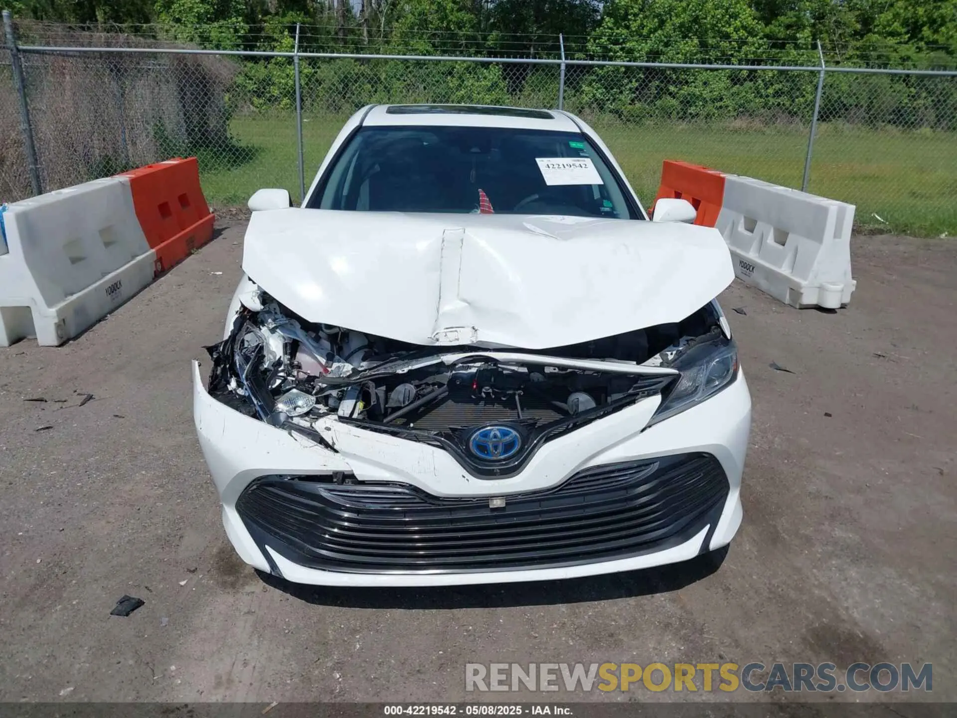 12 Photograph of a damaged car 4T1B31HK2KU510238 TOYOTA CAMRY HYBRID 2019