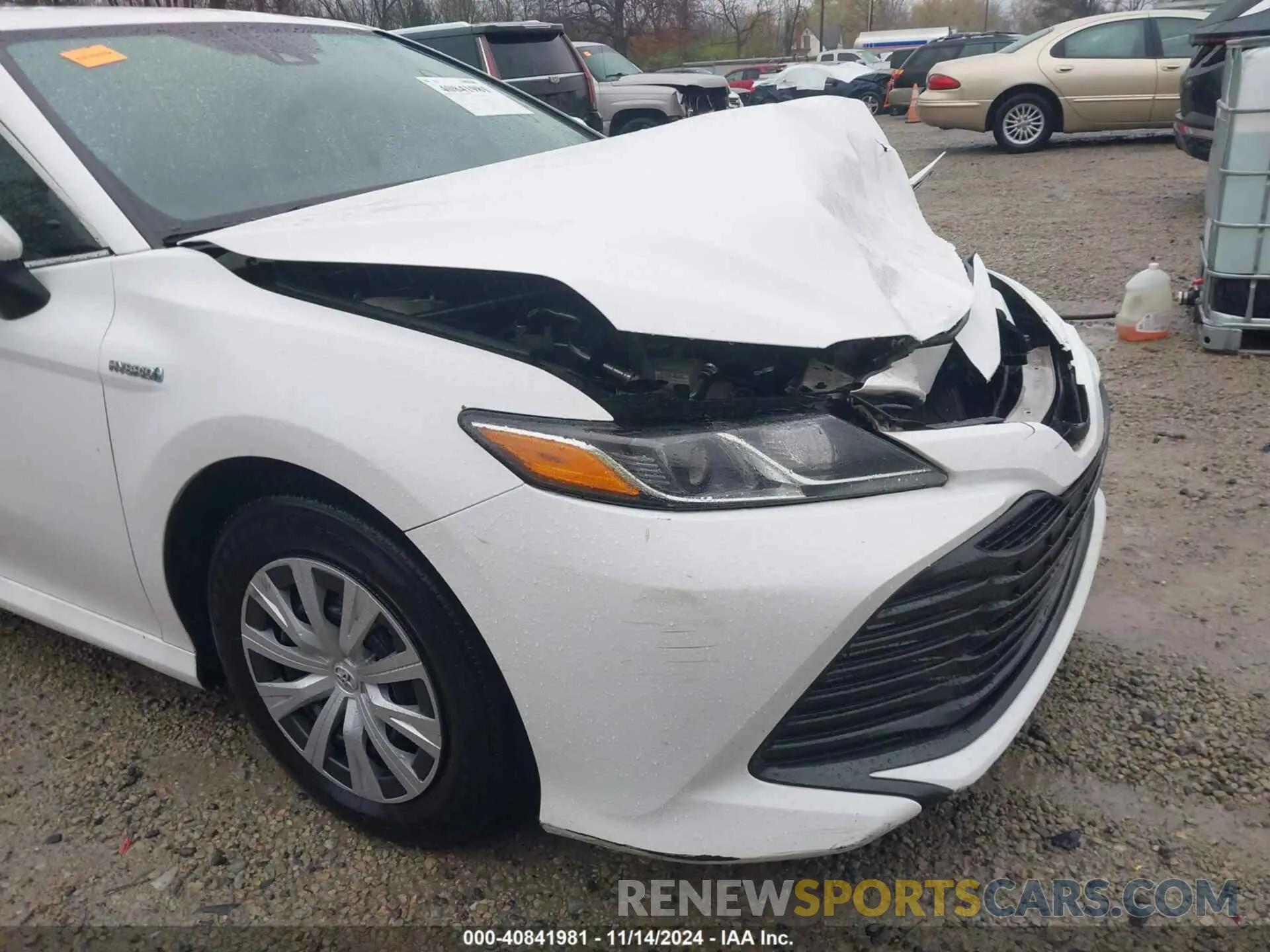 19 Photograph of a damaged car 4T1B31HK3KU511656 TOYOTA CAMRY HYBRID 2019