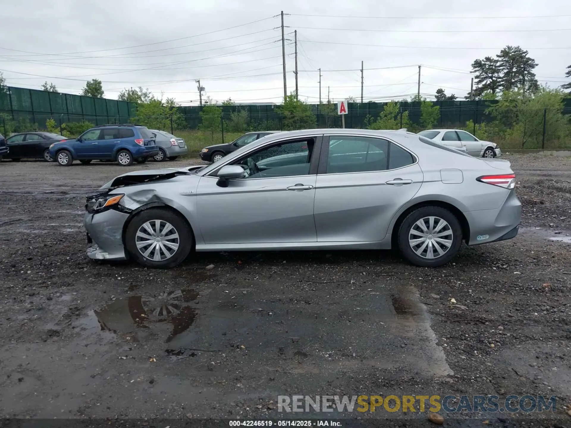 14 Photograph of a damaged car 4T1B31HK5KU510038 TOYOTA CAMRY HYBRID 2019