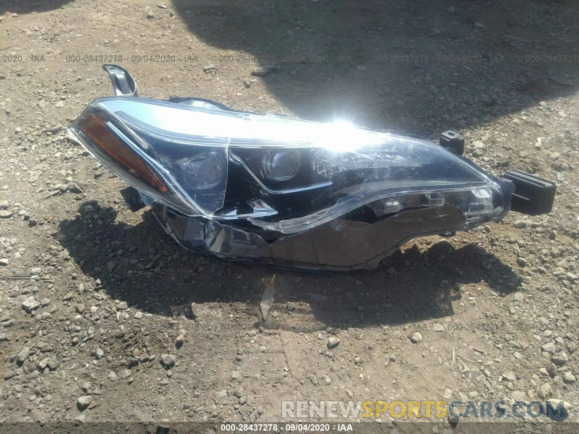12 Photograph of a damaged car 5YFBURHE1KP905731 TOYOTA COROLLA 2019
