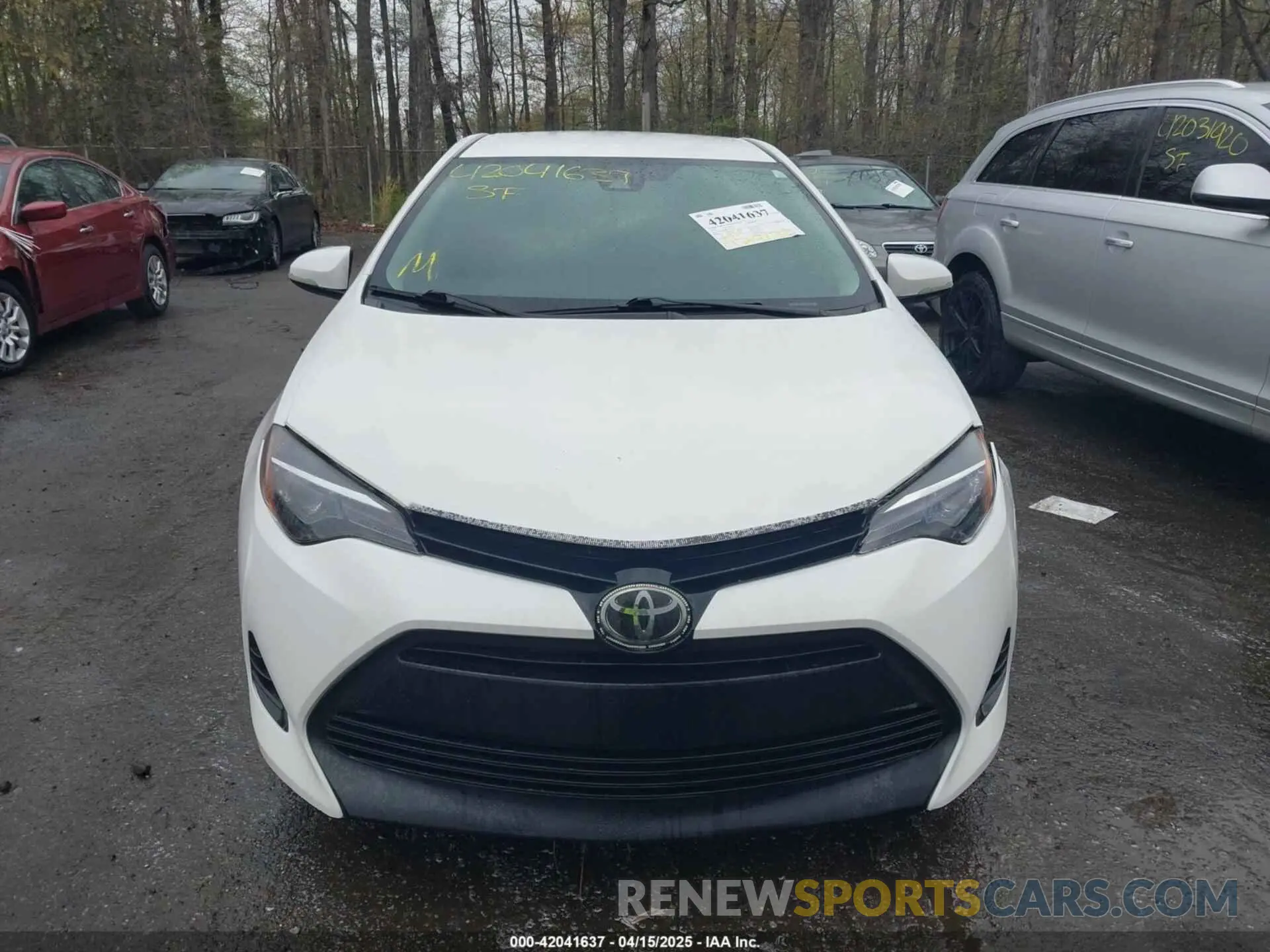12 Photograph of a damaged car 5YFBURHE6KP937090 TOYOTA COROLLA 2019