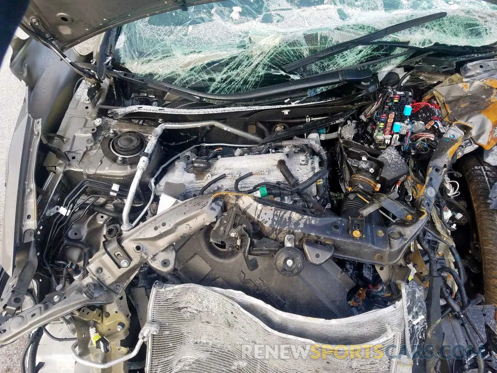 7 Photograph of a damaged car 5YFBURHE8KP919111 TOYOTA COROLLA 2019