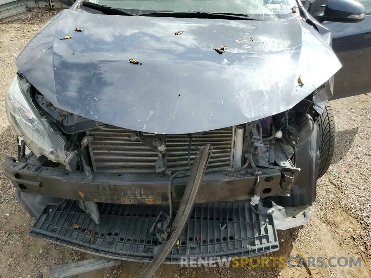 11 Photograph of a damaged car 5YFBURHE9KP917979 TOYOTA COROLLA 2019
