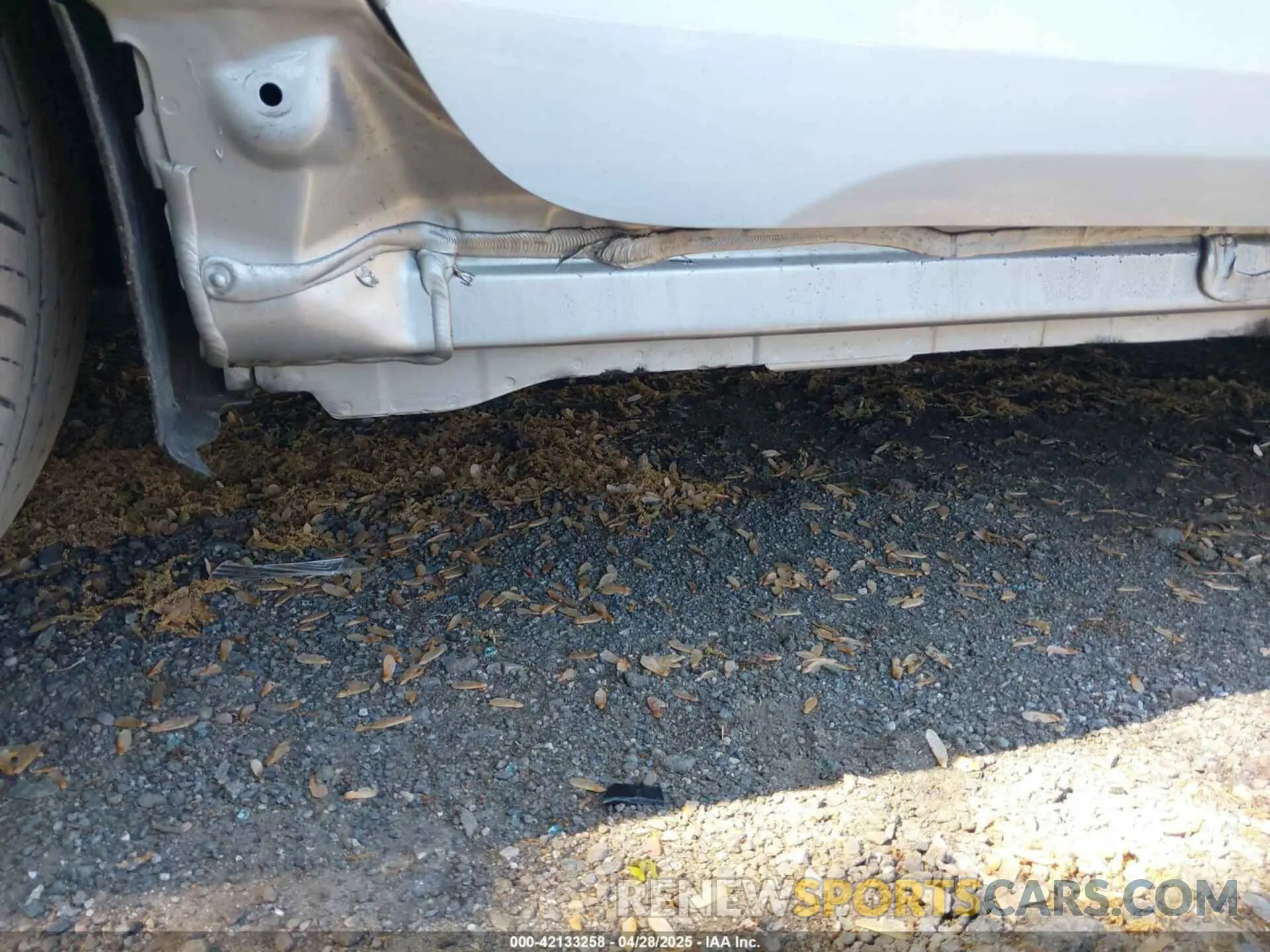 19 Photograph of a damaged car 5YFB4MDE3RP202148 TOYOTA COROLLA 2024