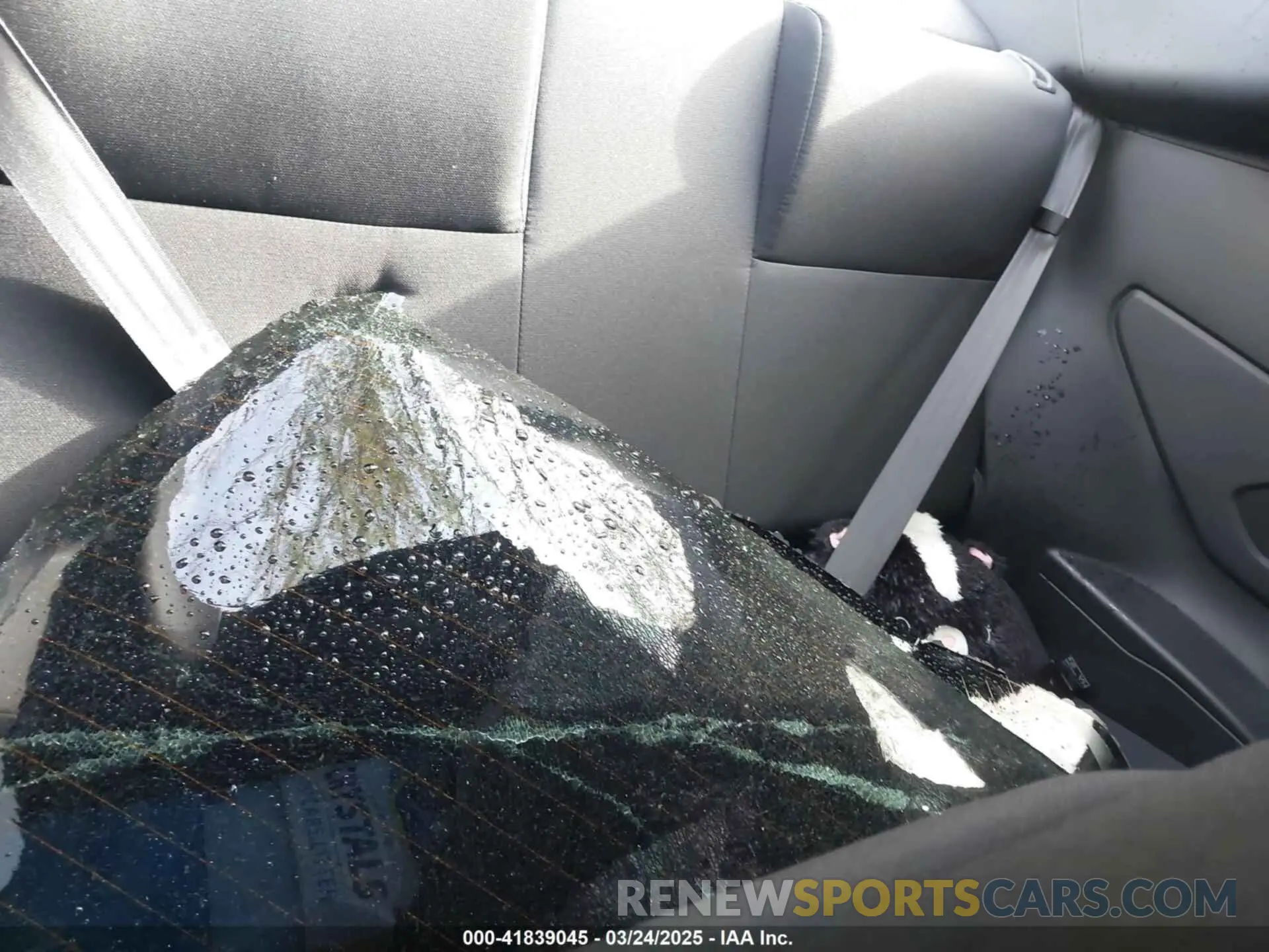 8 Photograph of a damaged car JF1ZNBC18P8761188 TOYOTA GR86 2023