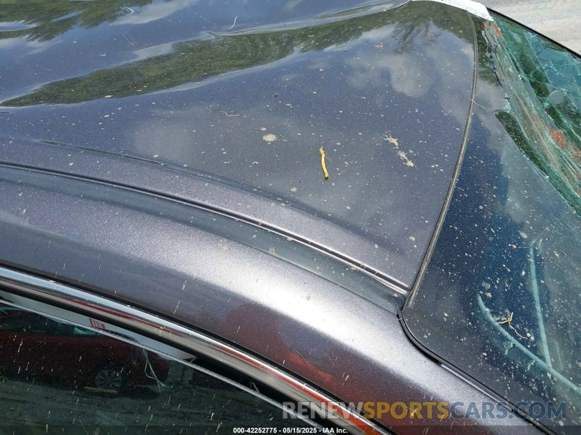 16 Photograph of a damaged car 5TDBZRFH5KS722354 TOYOTA HIGHLANDER 2019