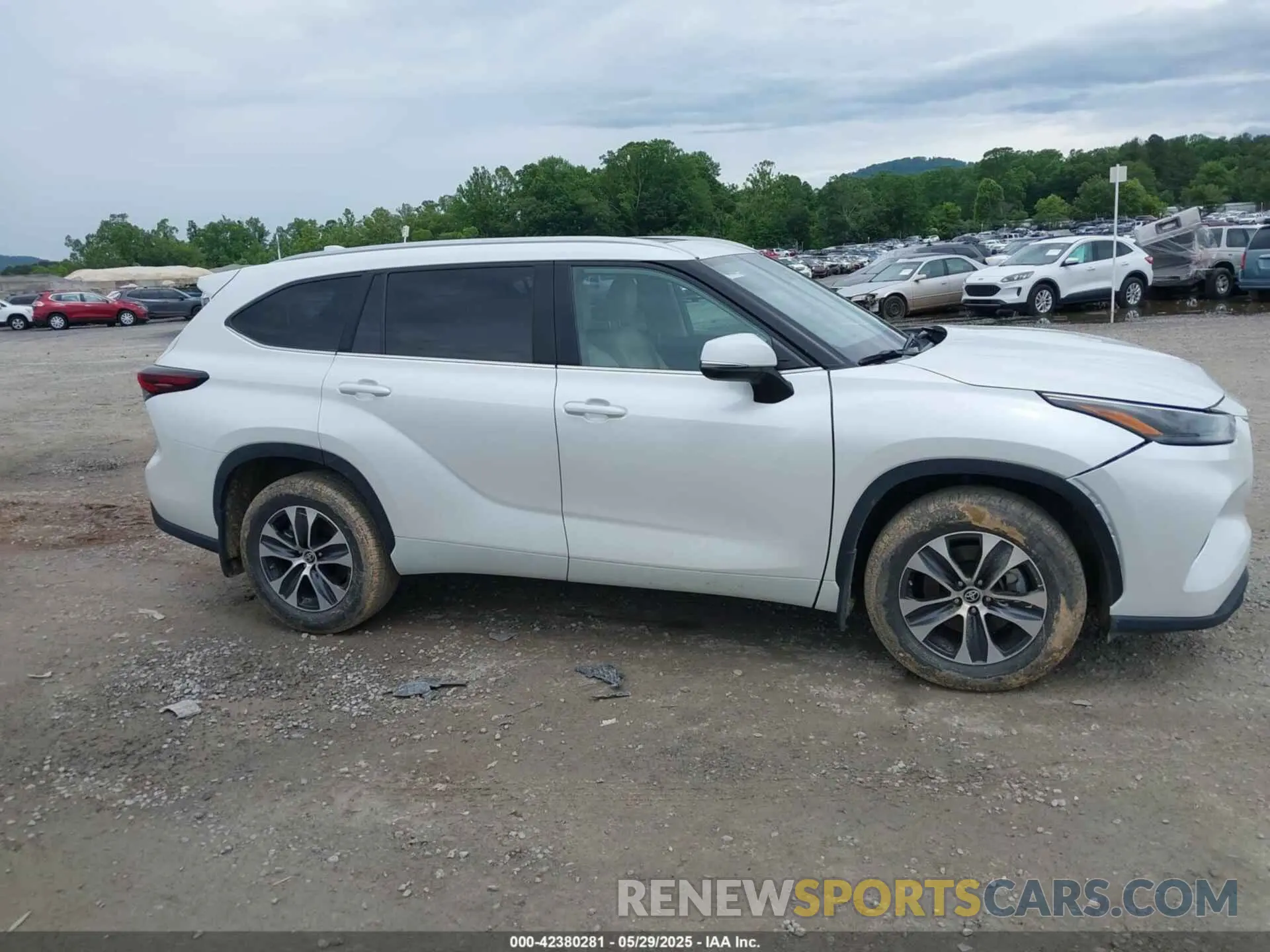 13 Photograph of a damaged car 5TDKDRBH1RS551813 TOYOTA HIGHLANDER 2024