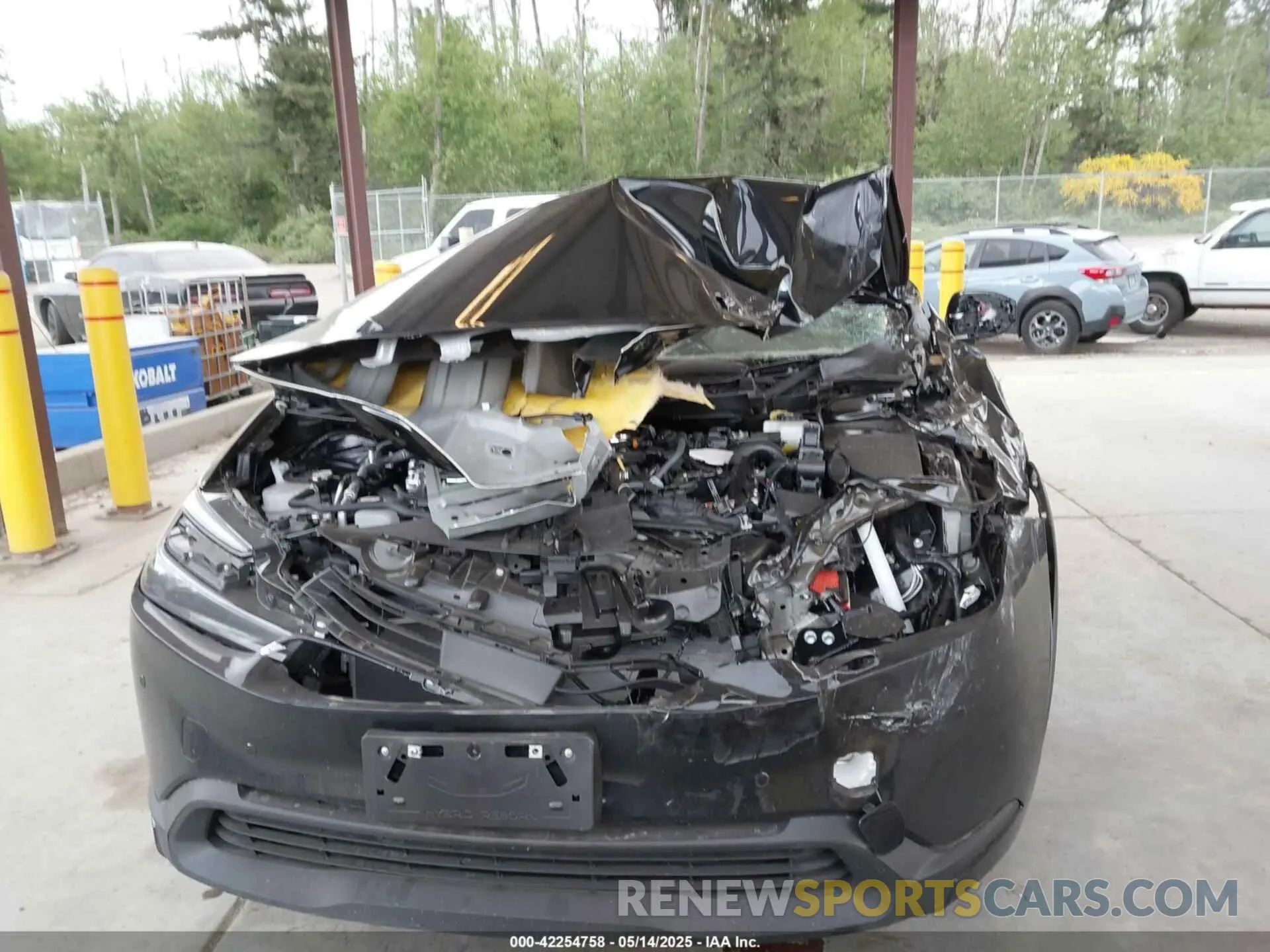 12 Photograph of a damaged car JTDADABU1R3019635 TOYOTA PRIUS 2024