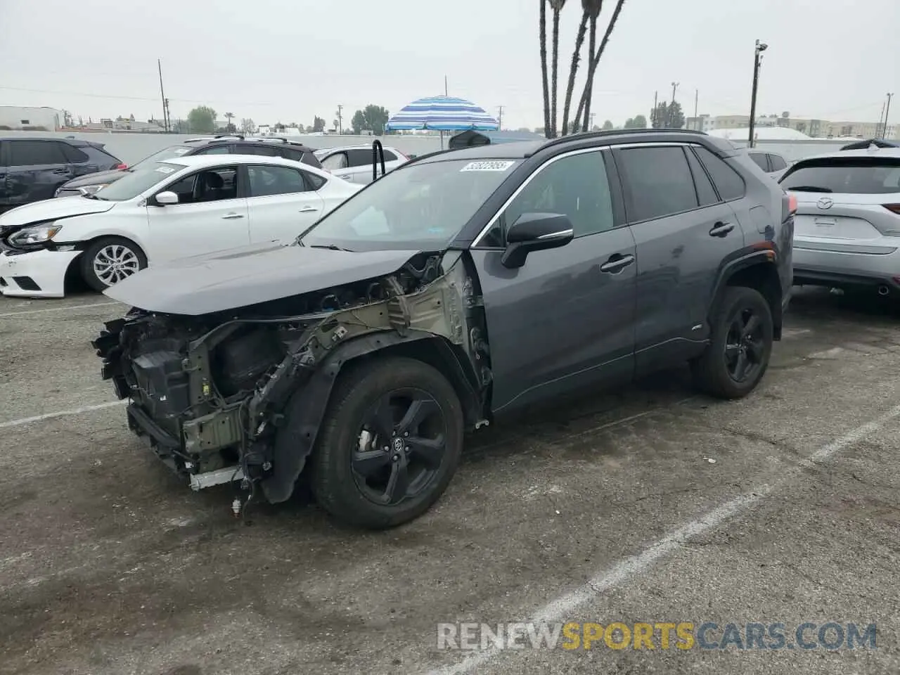 1 Photograph of a damaged car 2T3EWRFV3KW025663 TOYOTA RAV4 2019