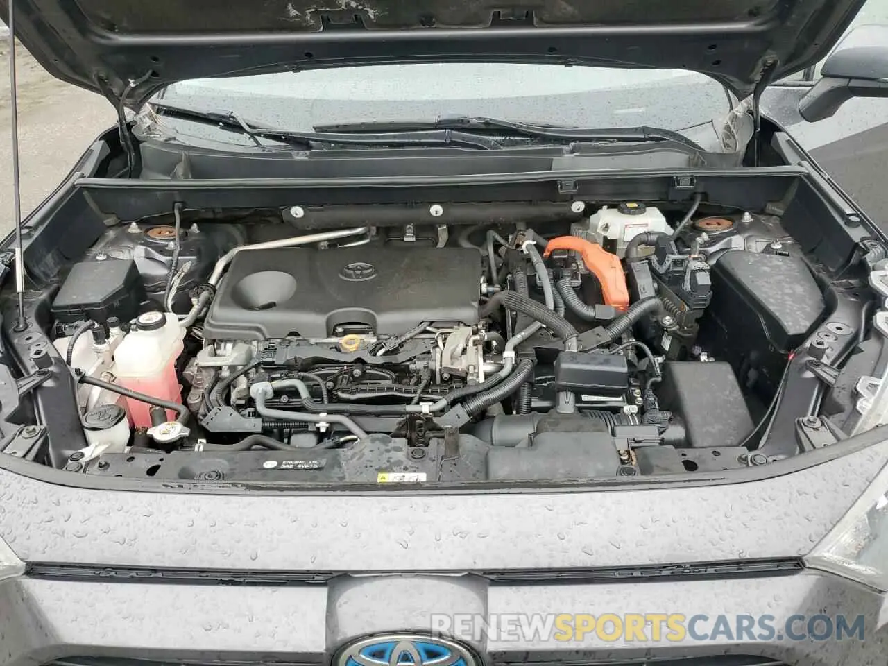 13 Фотография поврежденного автомобиля 2T3MWRFV5KW004440 TOYOTA RAV4 2019
