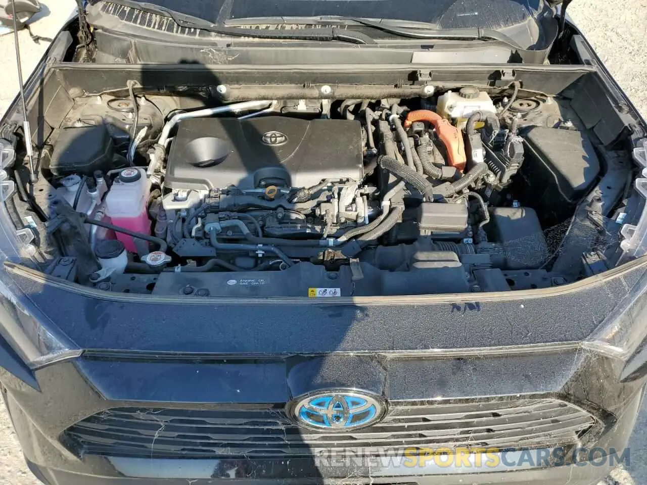 12 Photograph of a damaged car 2T3MWRFV8KW041532 TOYOTA RAV4 2019