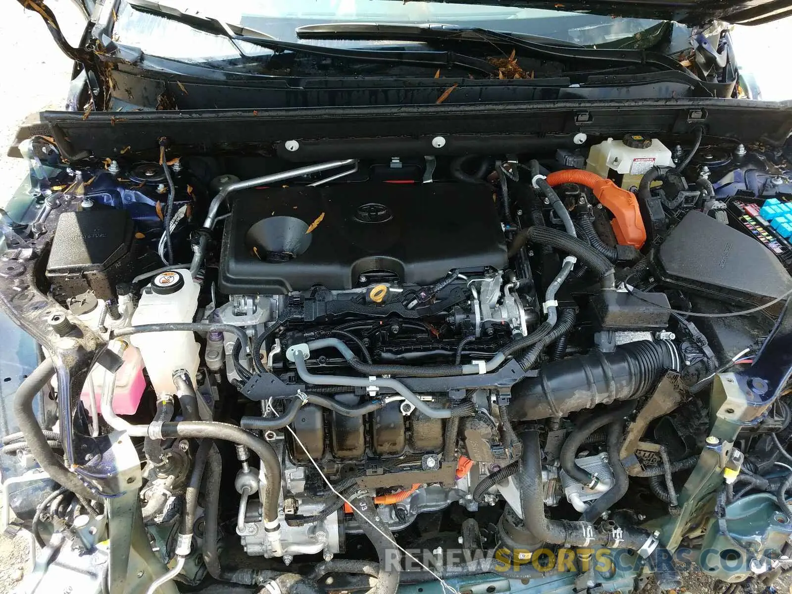 7 Фотография поврежденного автомобиля 2T3RWRFV2KW009021 TOYOTA RAV4 2019
