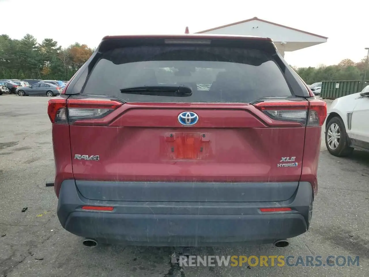 6 Photograph of a damaged car 2T3RWRFV4KW034390 TOYOTA RAV4 2019