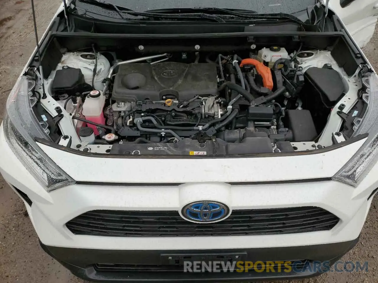 12 Photograph of a damaged car 2T3RWRFV6KW028364 TOYOTA RAV4 2019