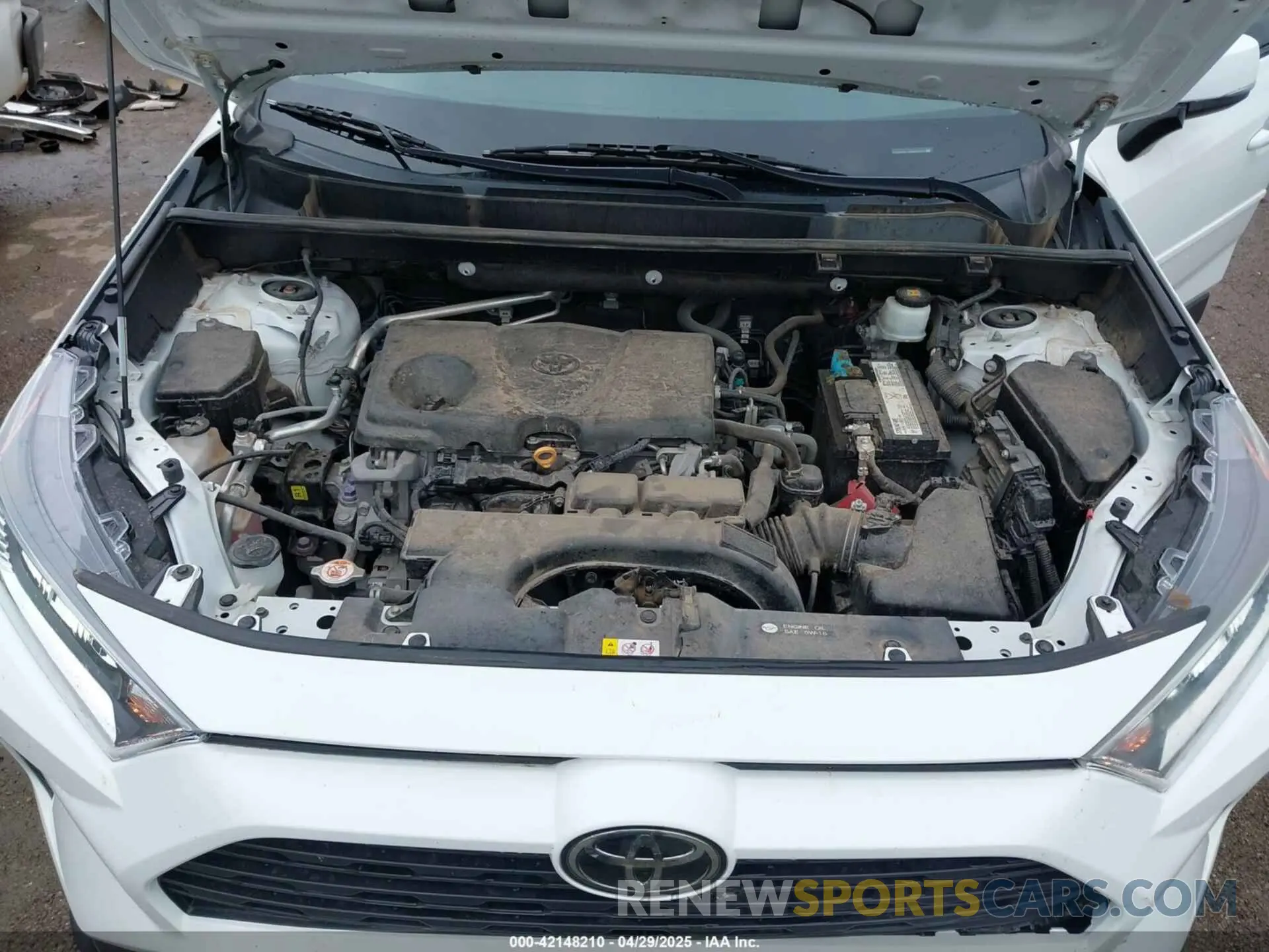10 Photograph of a damaged car 2T3W1RFV8KW030117 TOYOTA RAV4 2019
