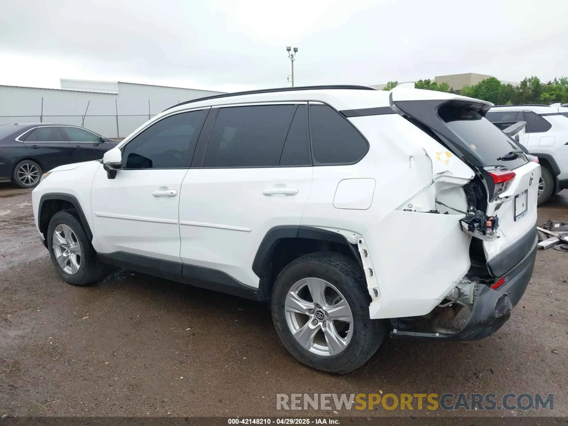 14 Photograph of a damaged car 2T3W1RFV8KW030117 TOYOTA RAV4 2019