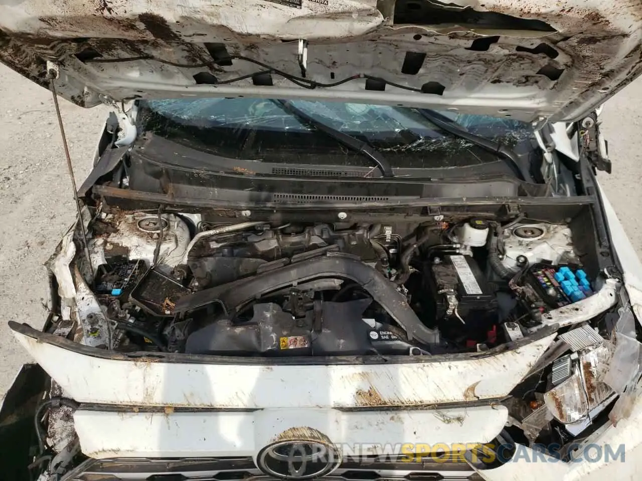 7 Photograph of a damaged car 2T3Y1RFV7KW001572 TOYOTA RAV4 2019
