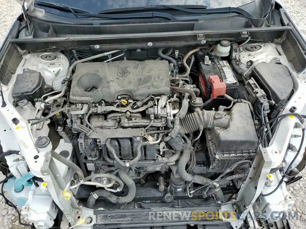 12 Photograph of a damaged car JTMC1RFV1KD022912 TOYOTA RAV4 2019