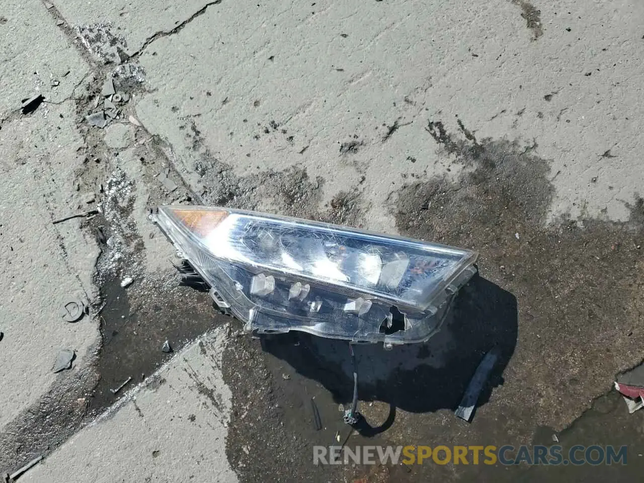 13 Photograph of a damaged car JTMC1RFV5KD509014 TOYOTA RAV4 2019