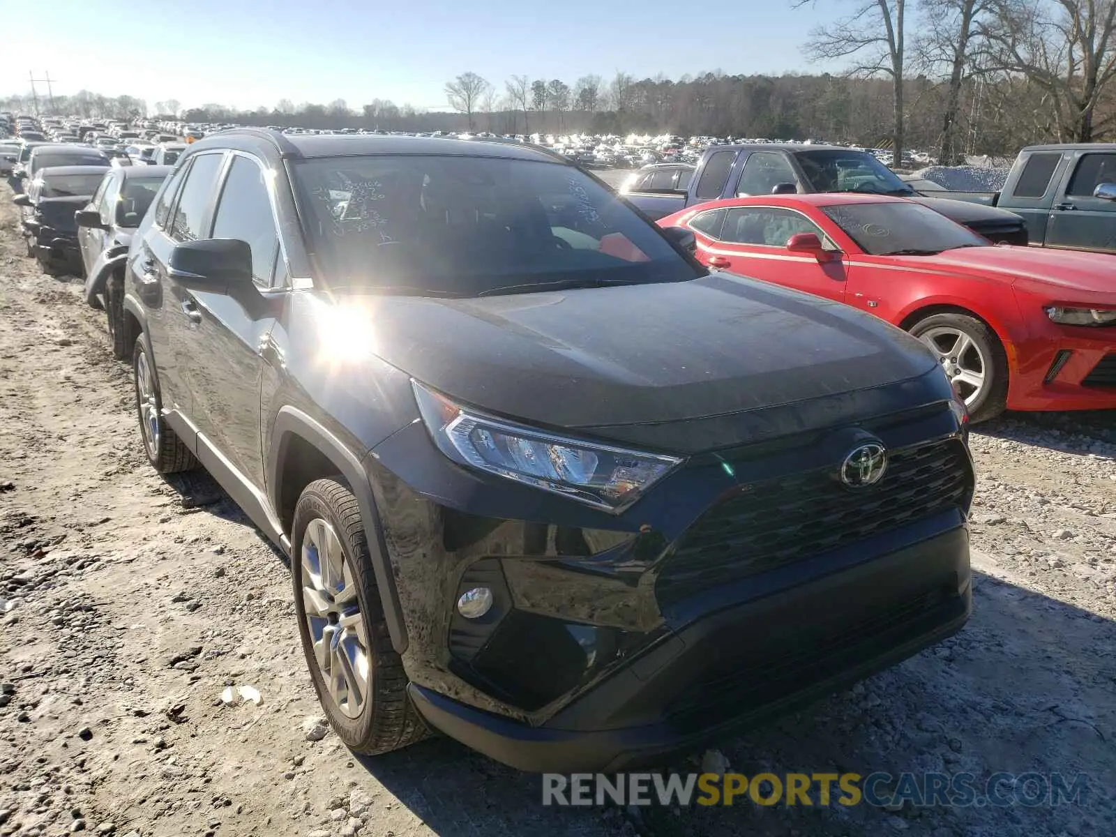1 Photograph of a damaged car JTMC1RFV7KD508852 TOYOTA RAV4 2019