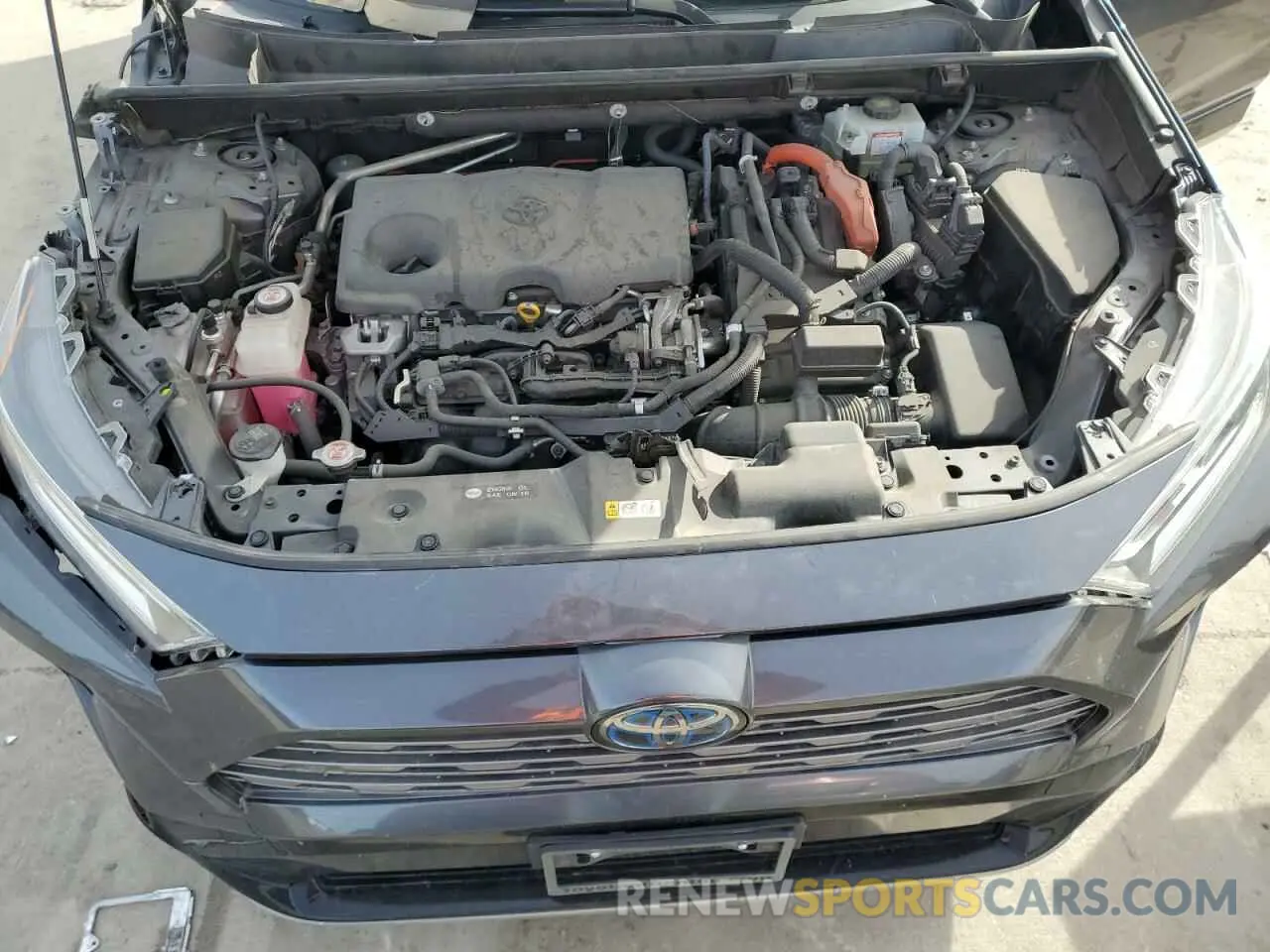 12 Фотография поврежденного автомобиля JTMEWRFV6KJ013084 TOYOTA RAV4 2019