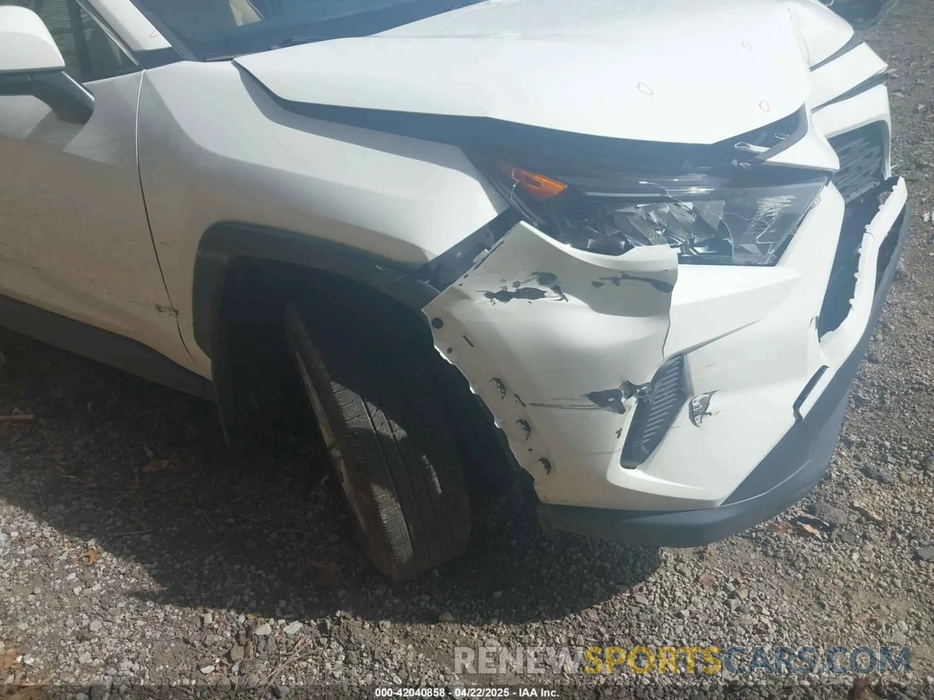 6 Фотография поврежденного автомобиля JTMG1RFV0KD043865 TOYOTA RAV4 2019