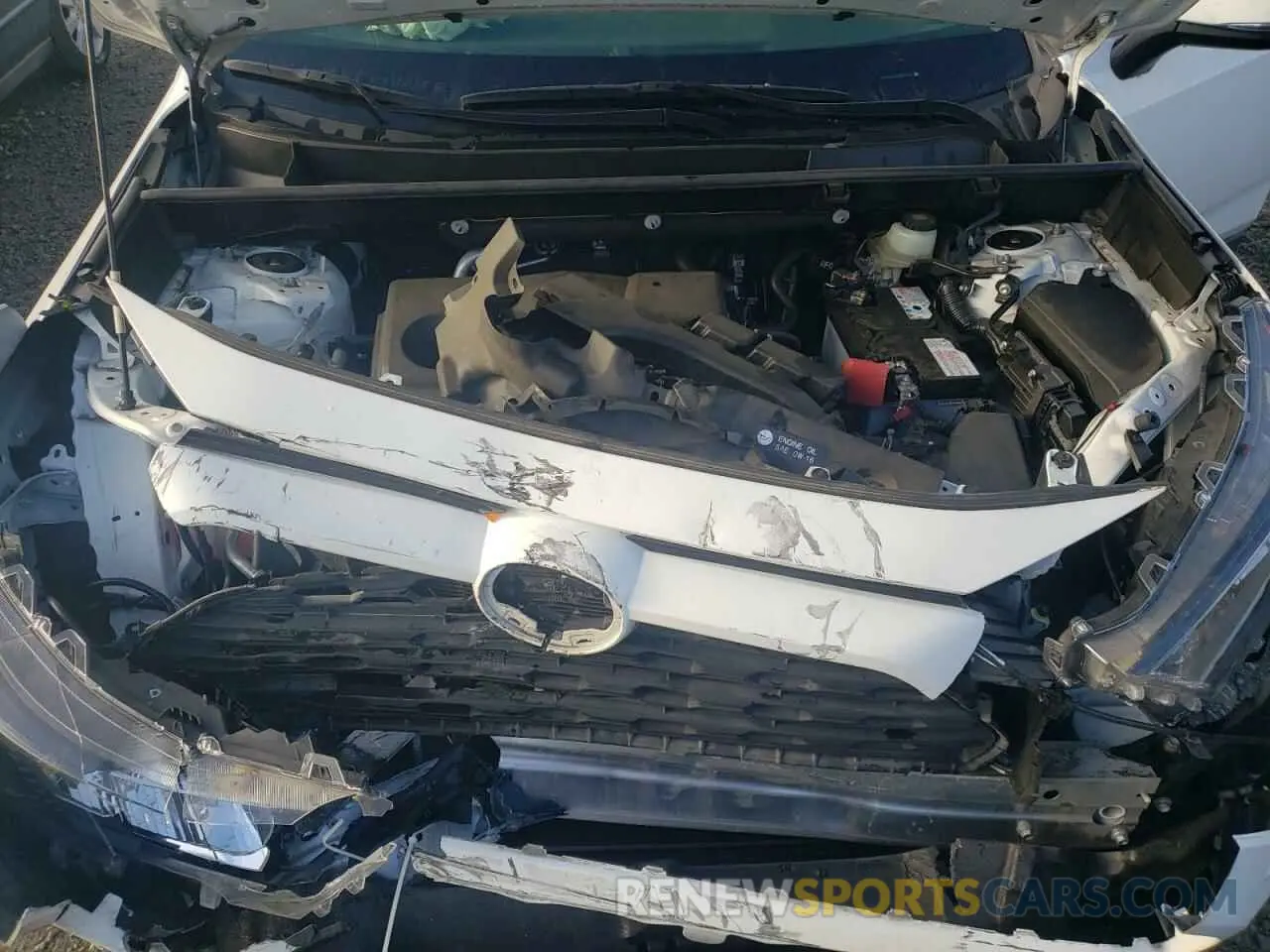 12 Photograph of a damaged car JTMG1RFV2KD019213 TOYOTA RAV4 2019