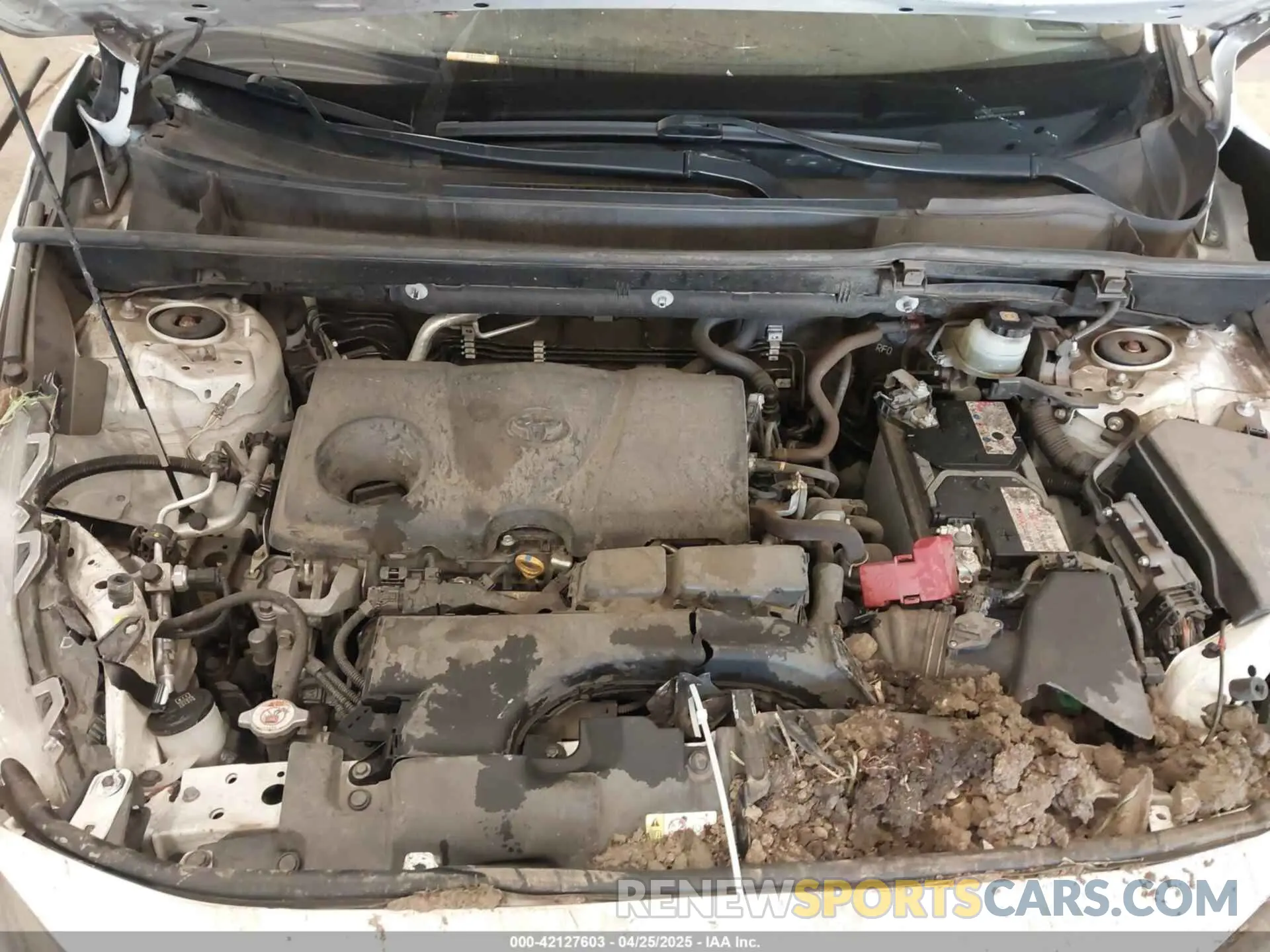 10 Photograph of a damaged car JTMG1RFV8KD503144 TOYOTA RAV4 2019