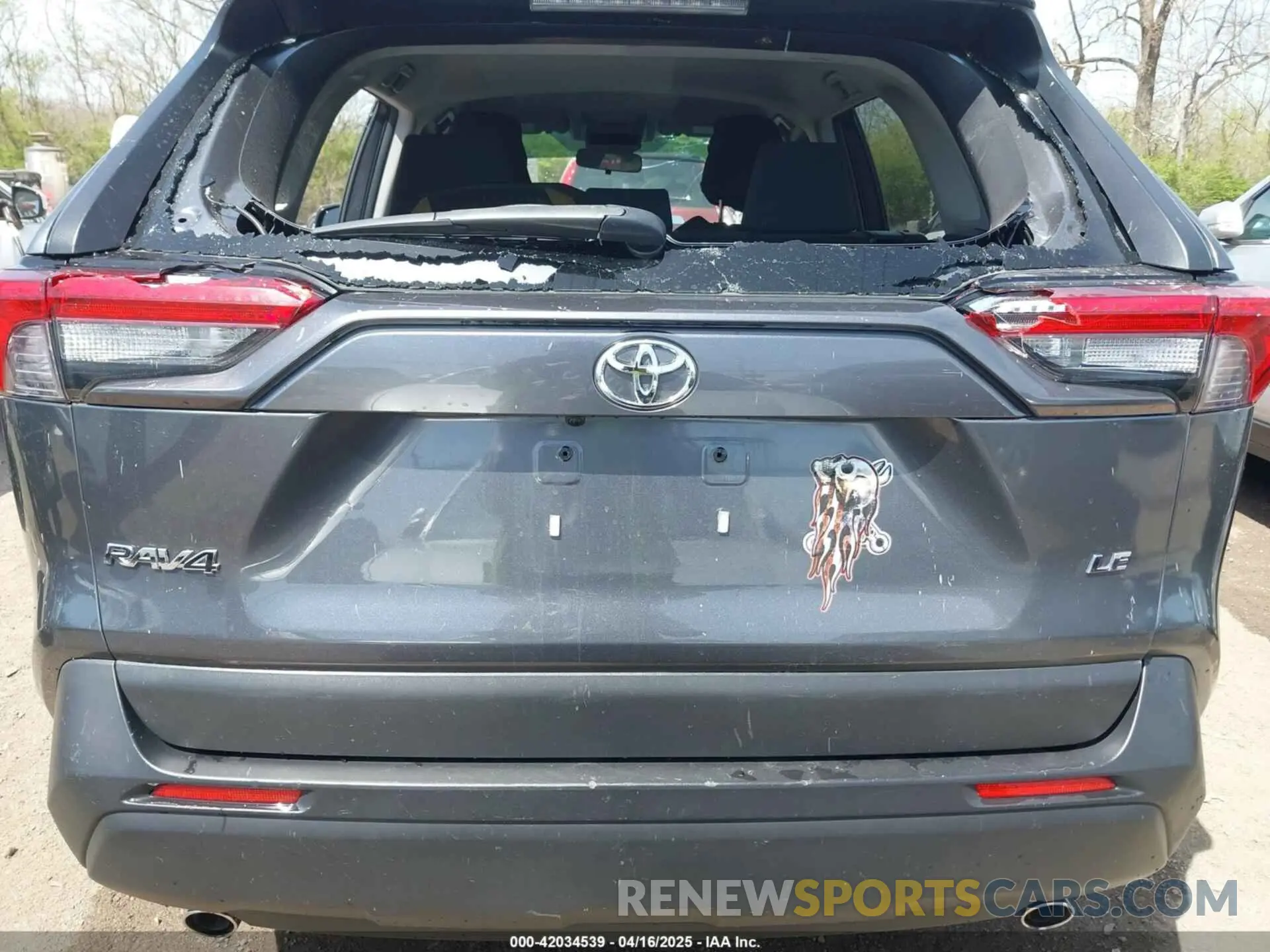 16 Photograph of a damaged car JTMK1RFV5KD020320 TOYOTA RAV4 2019