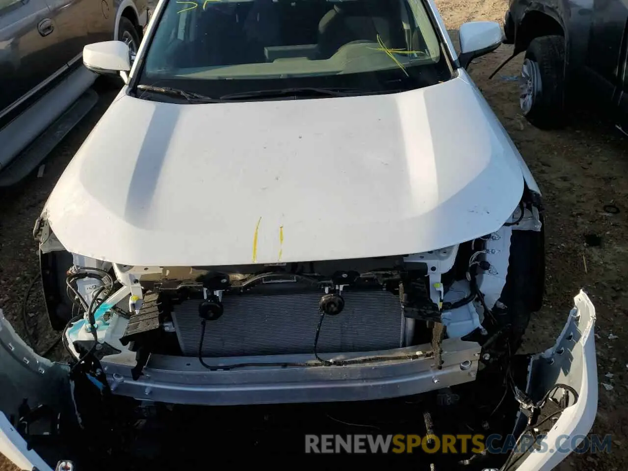 12 Photograph of a damaged car JTMK1RFV5KD028997 TOYOTA RAV4 2019