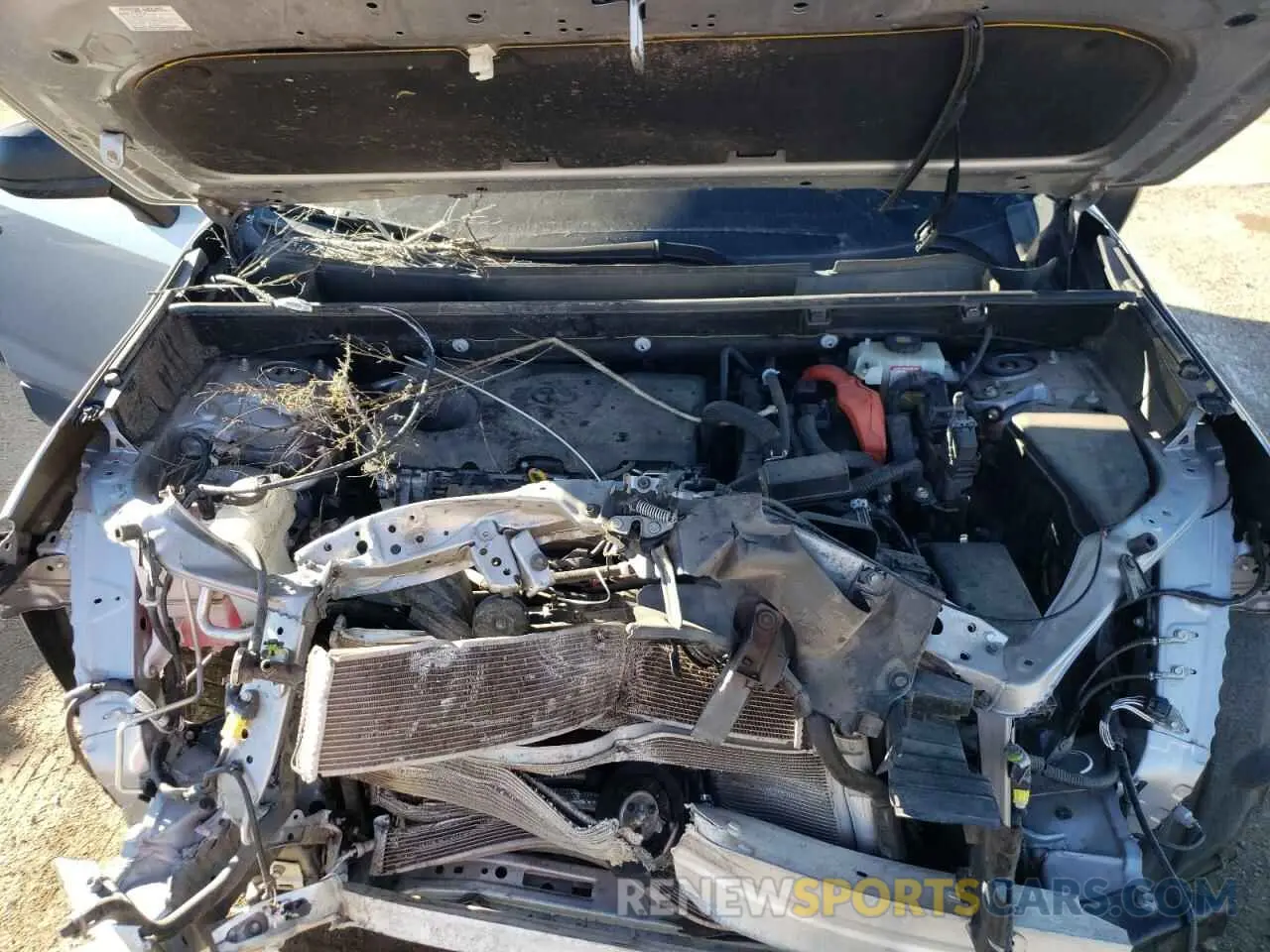 7 Photograph of a damaged car JTMLWRFV6KD504311 TOYOTA RAV4 2019