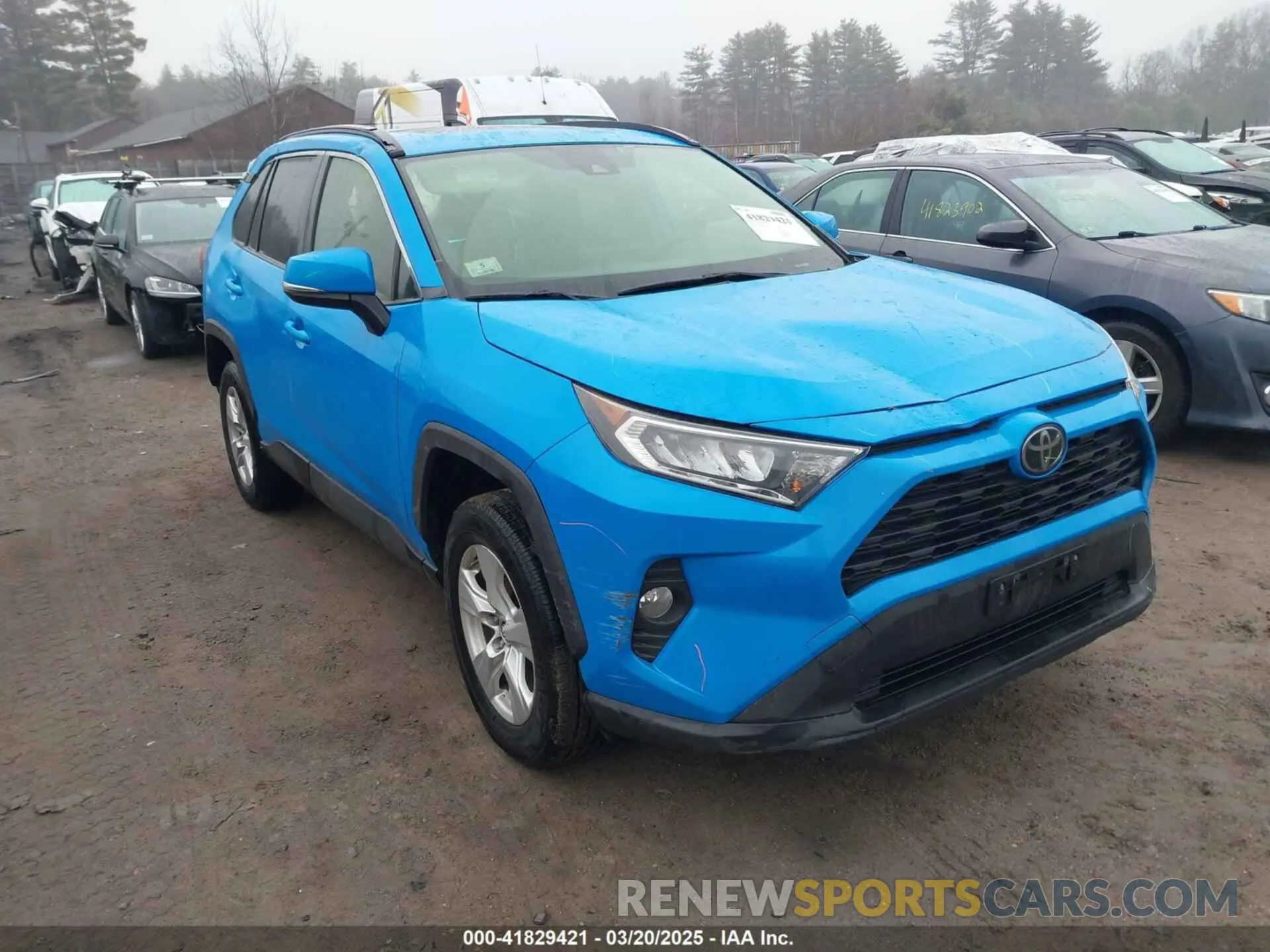 1 Photograph of a damaged car JTMP1RFV0KD031165 TOYOTA RAV4 2019