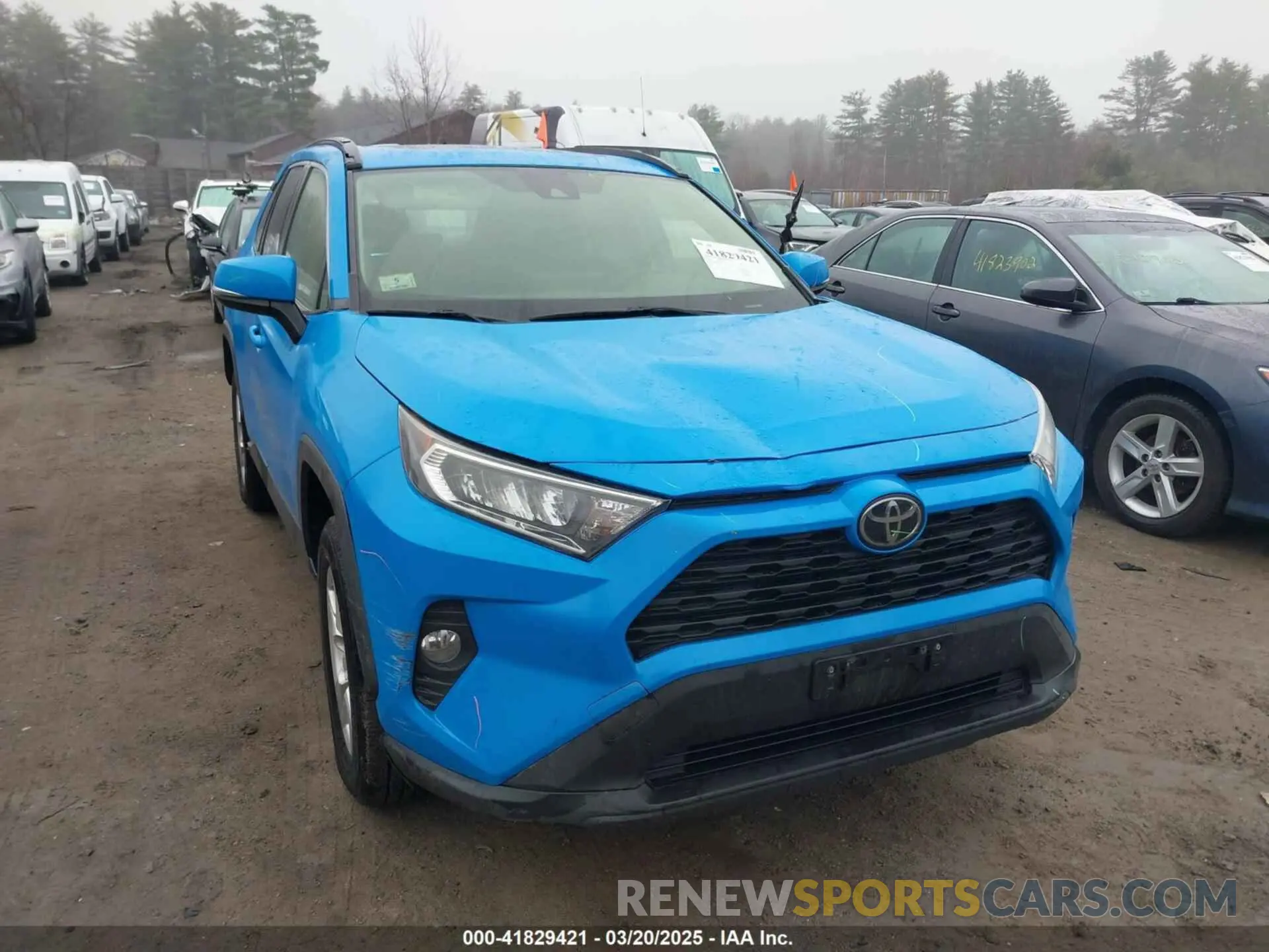 12 Photograph of a damaged car JTMP1RFV0KD031165 TOYOTA RAV4 2019