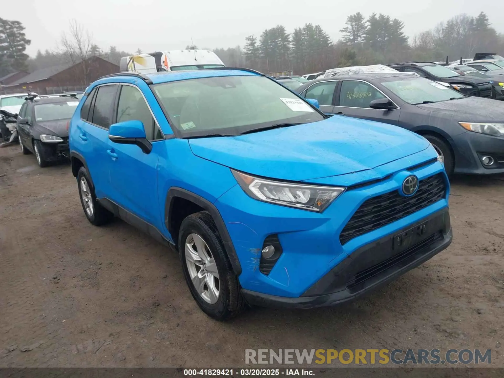 13 Photograph of a damaged car JTMP1RFV0KD031165 TOYOTA RAV4 2019