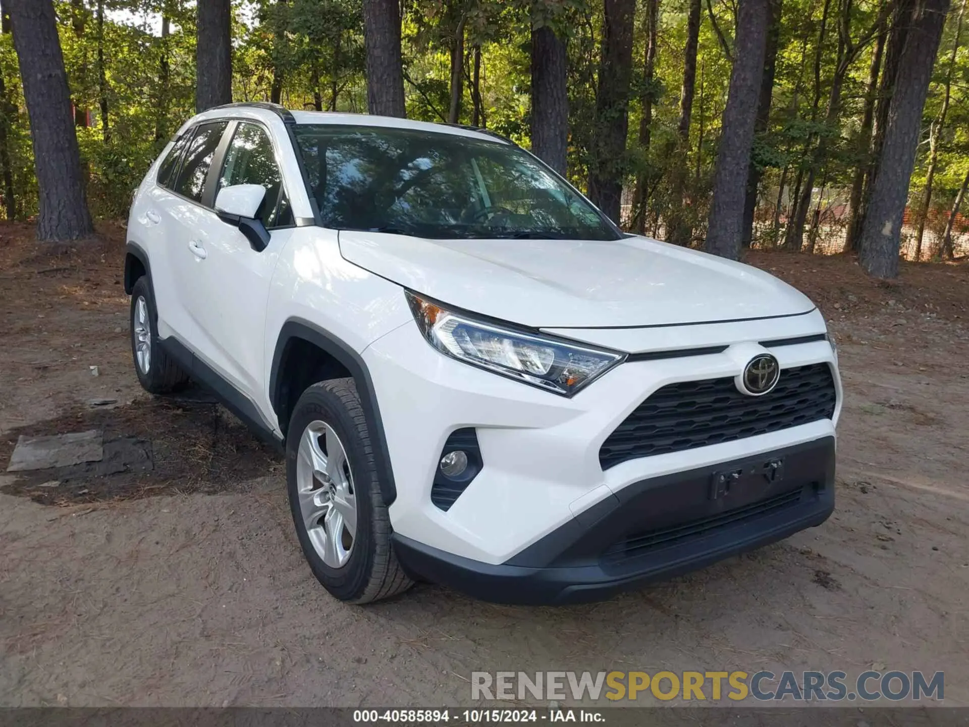 1 Фотография поврежденного автомобиля JTMP1RFV0KD504966 TOYOTA RAV4 2019