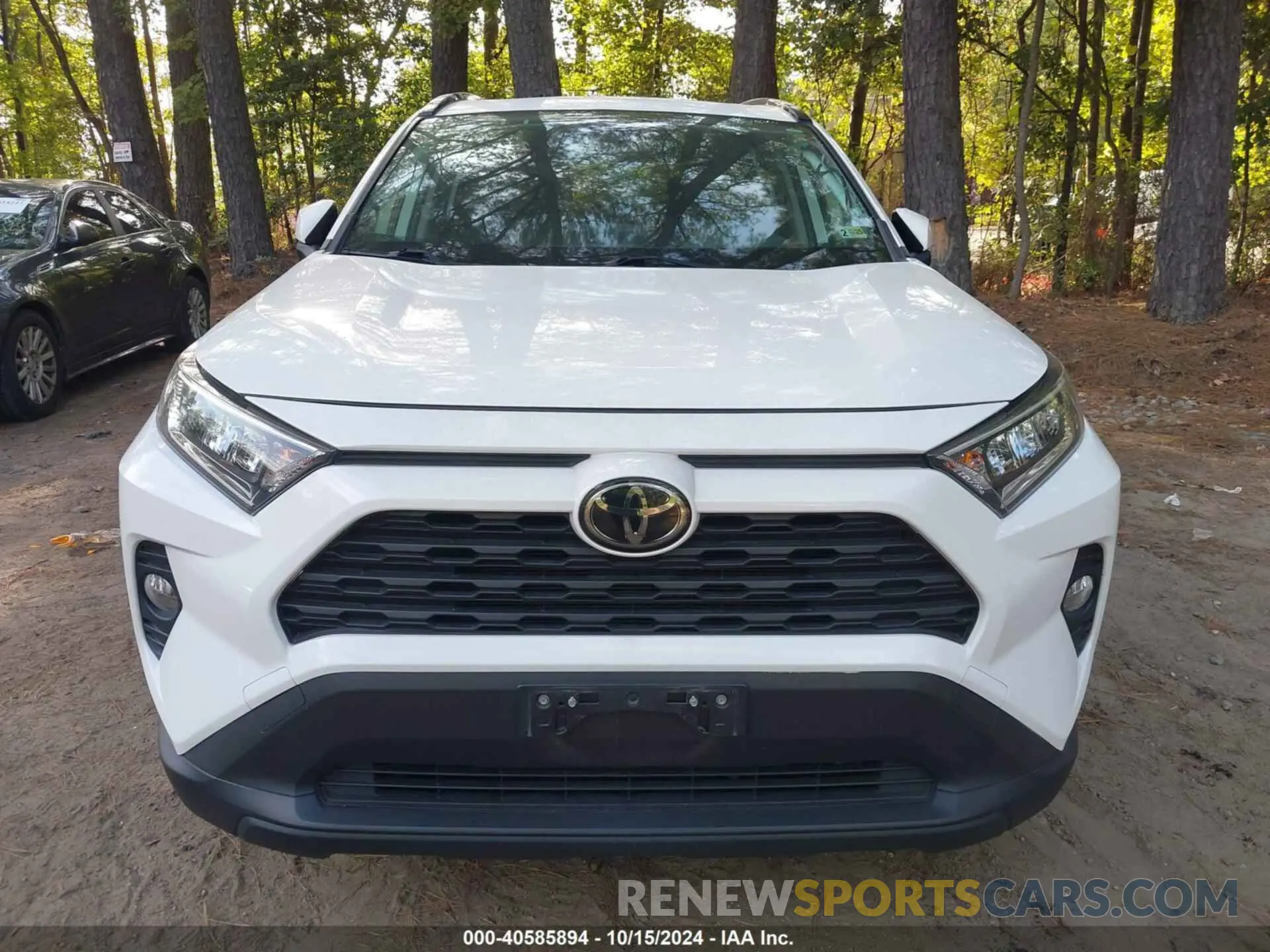 12 Фотография поврежденного автомобиля JTMP1RFV0KD504966 TOYOTA RAV4 2019