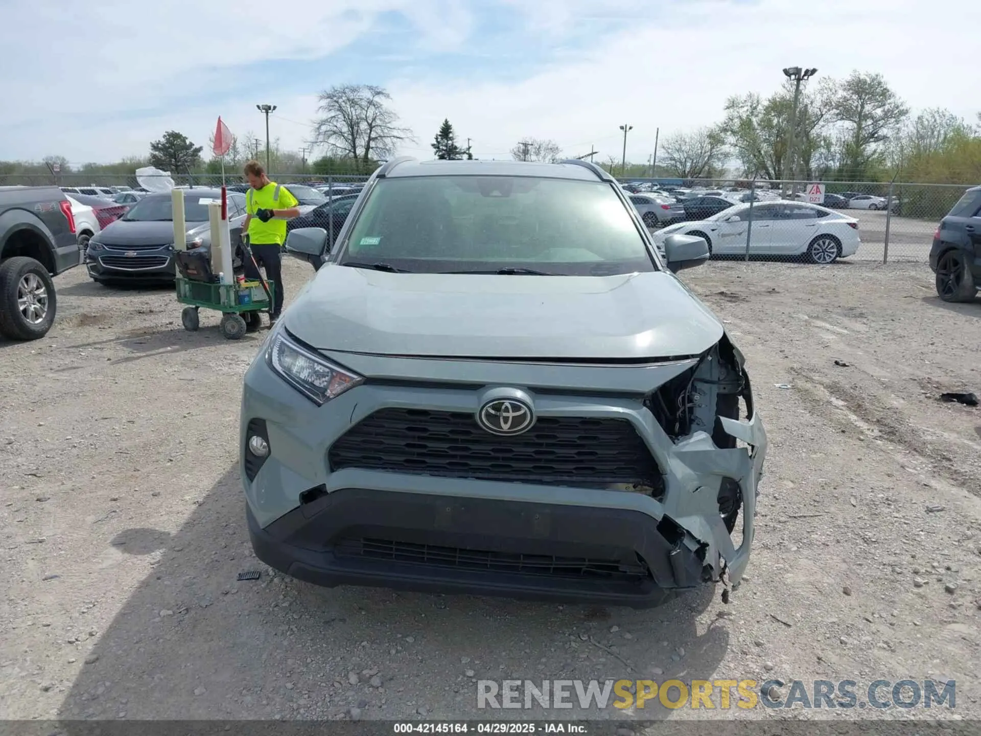 12 Photograph of a damaged car JTMP1RFV2KD042717 TOYOTA RAV4 2019