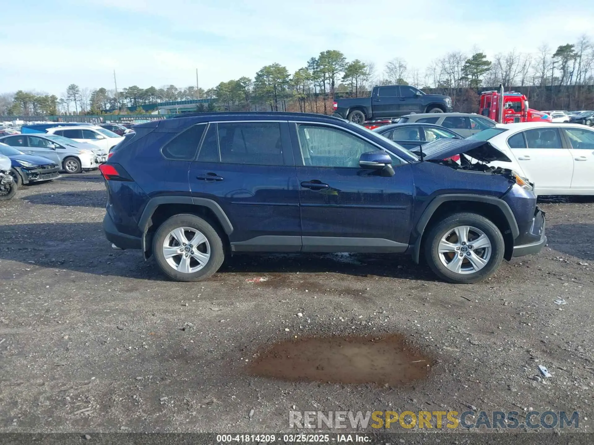 12 Фотография поврежденного автомобиля JTMP1RFV5KD023093 TOYOTA RAV4 2019