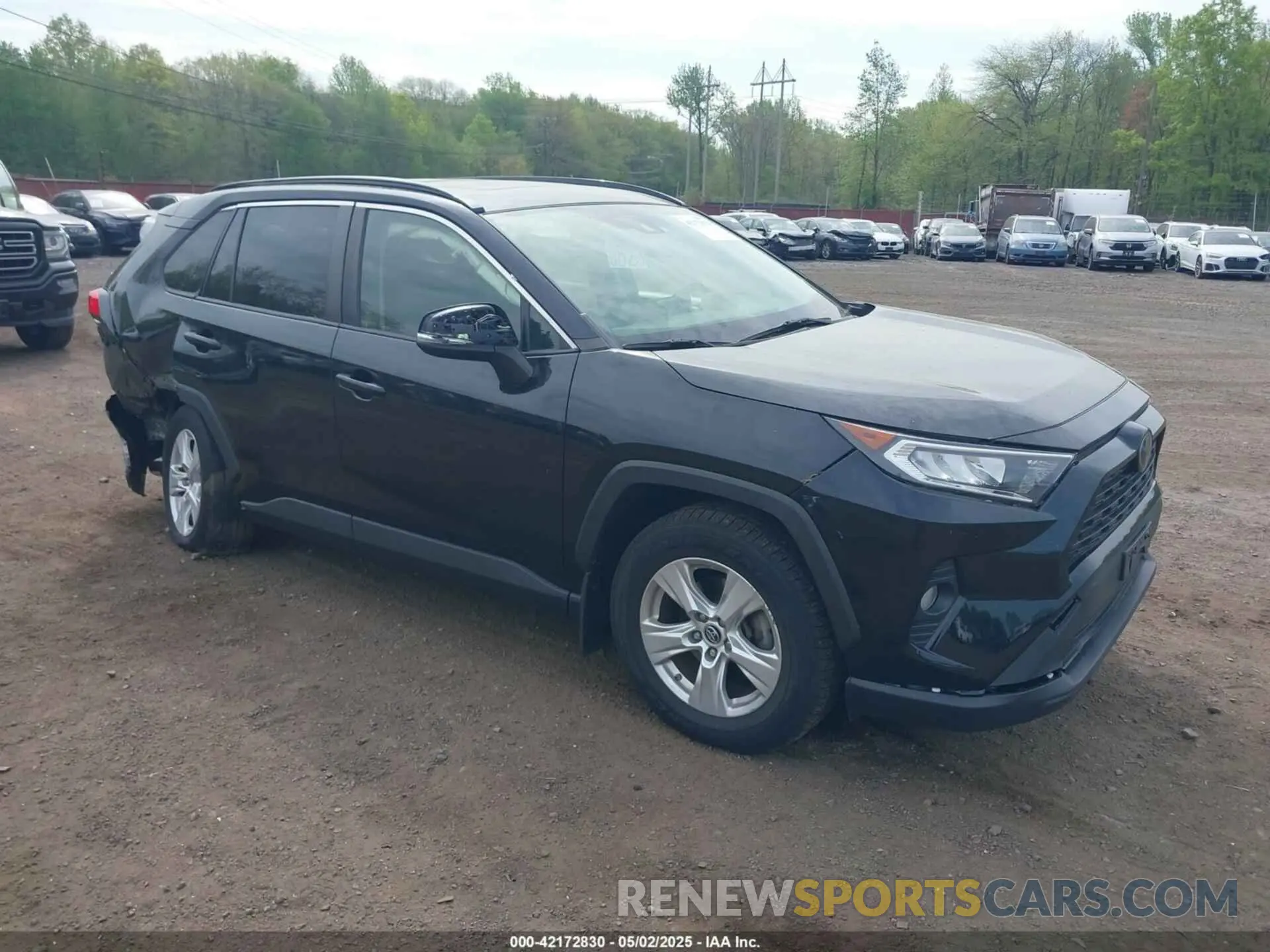 1 Photograph of a damaged car JTMP1RFV6KD500954 TOYOTA RAV4 2019