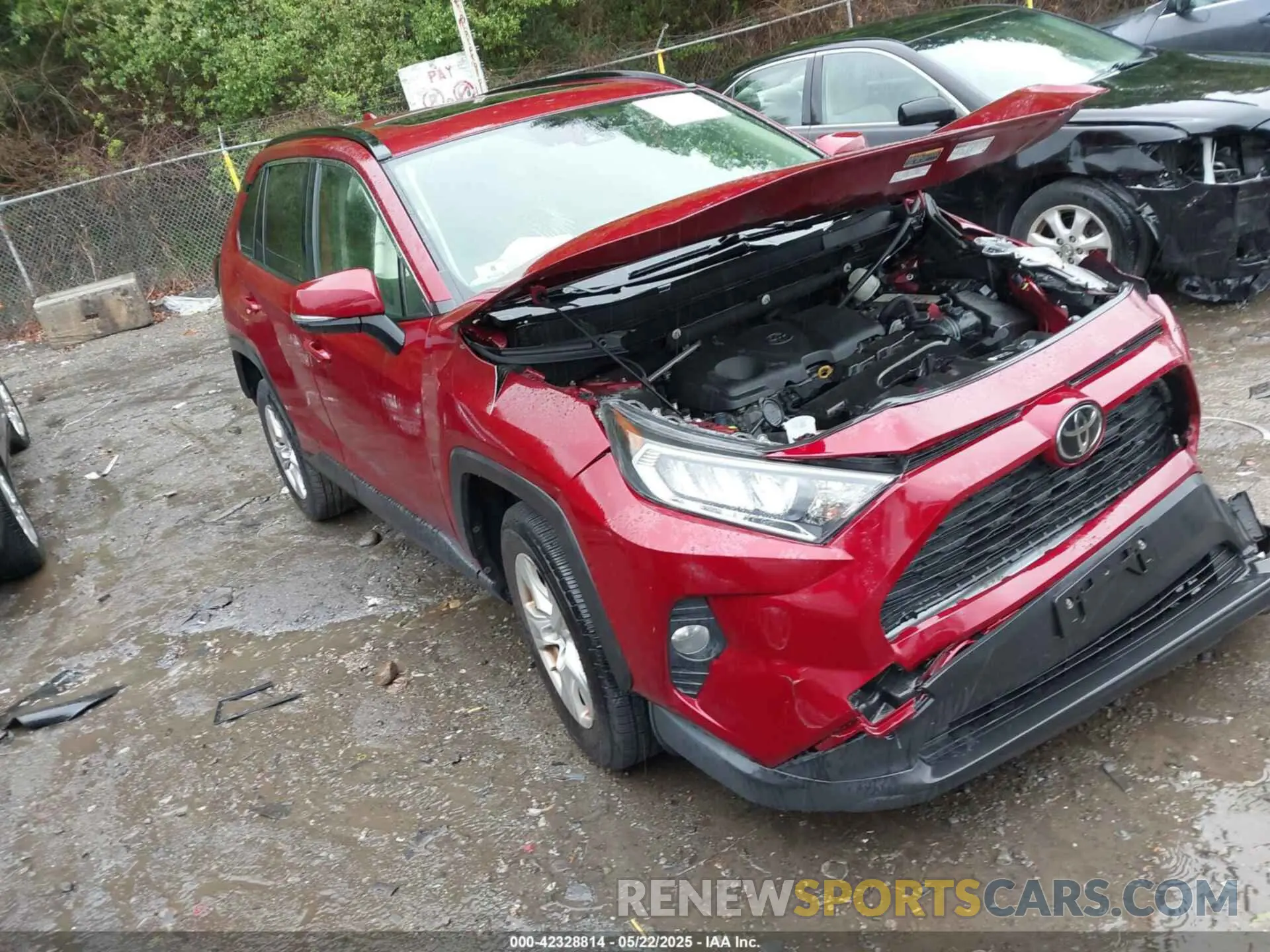1 Photograph of a damaged car JTMP1RFV7KD516029 TOYOTA RAV4 2019
